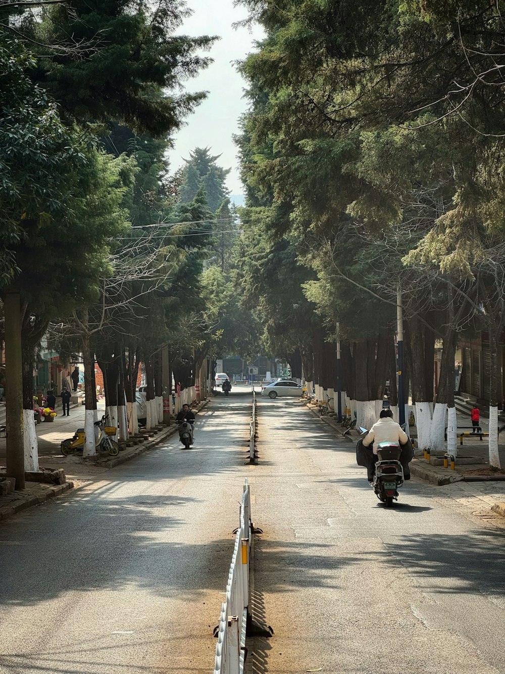 a street lined with lots of trees next to a forest