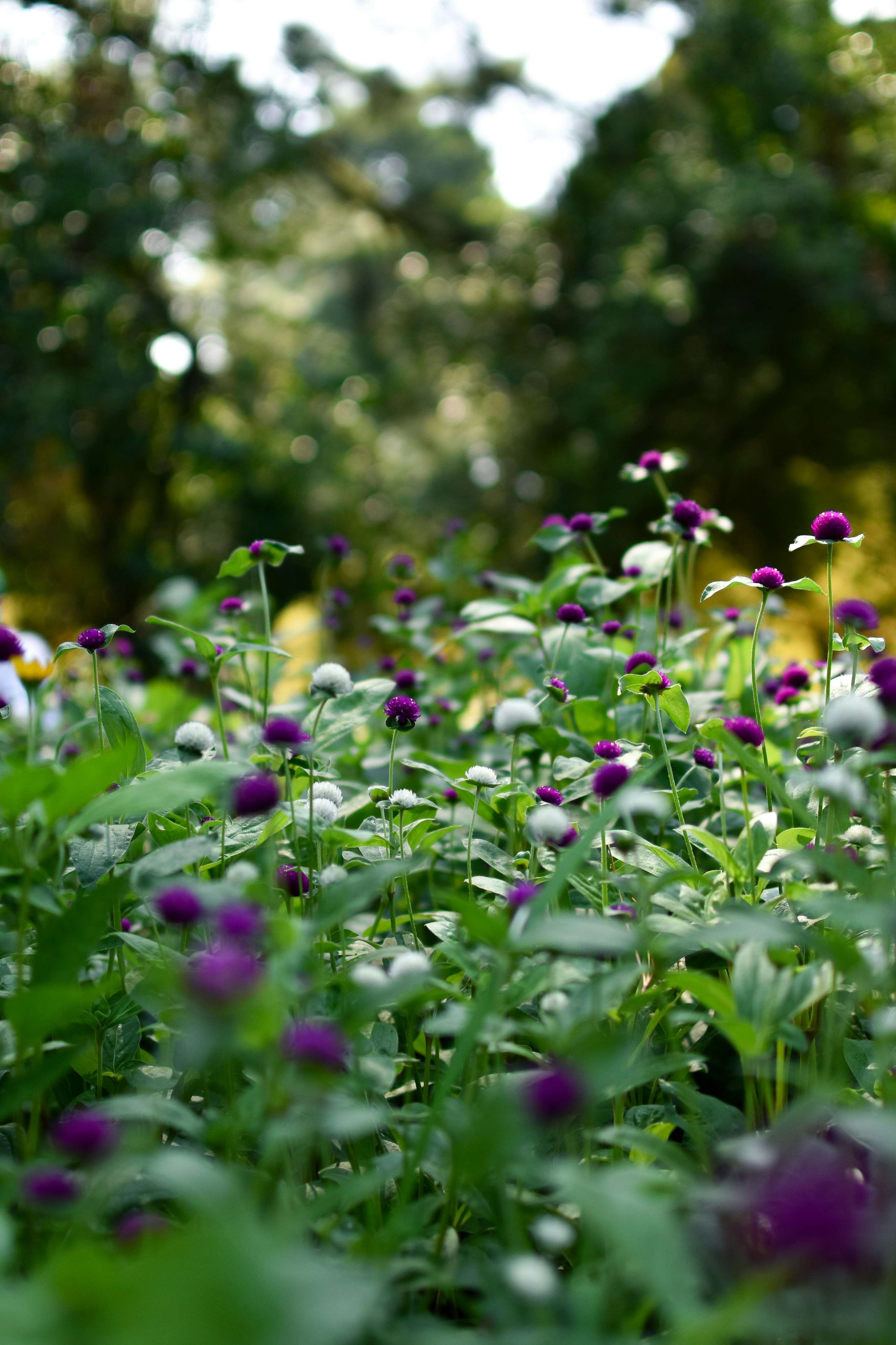 Photo by artem_makarov