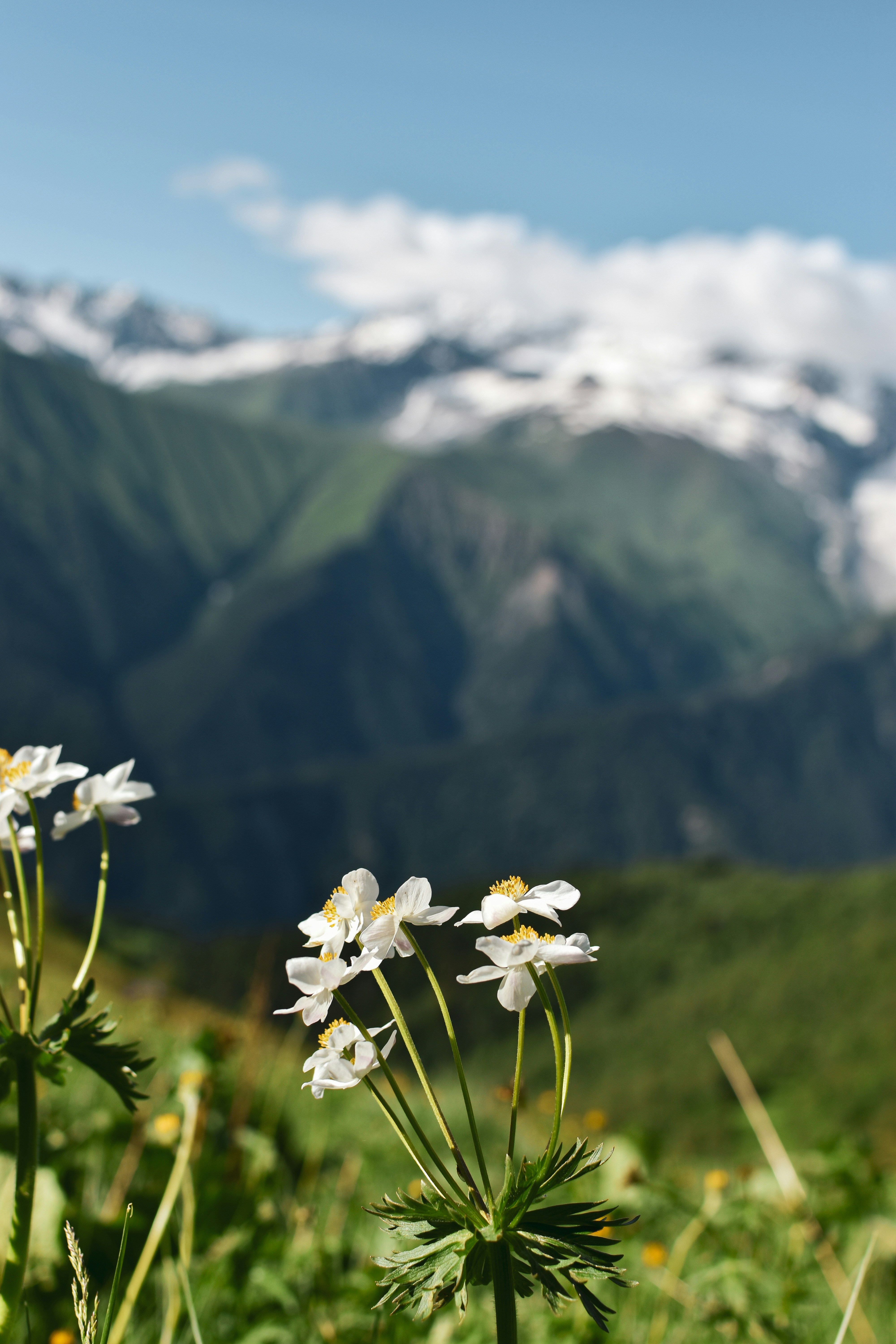 Photo by artem_makarov