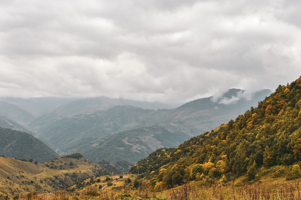 a scenic view of a mountain range with trees in the foreground