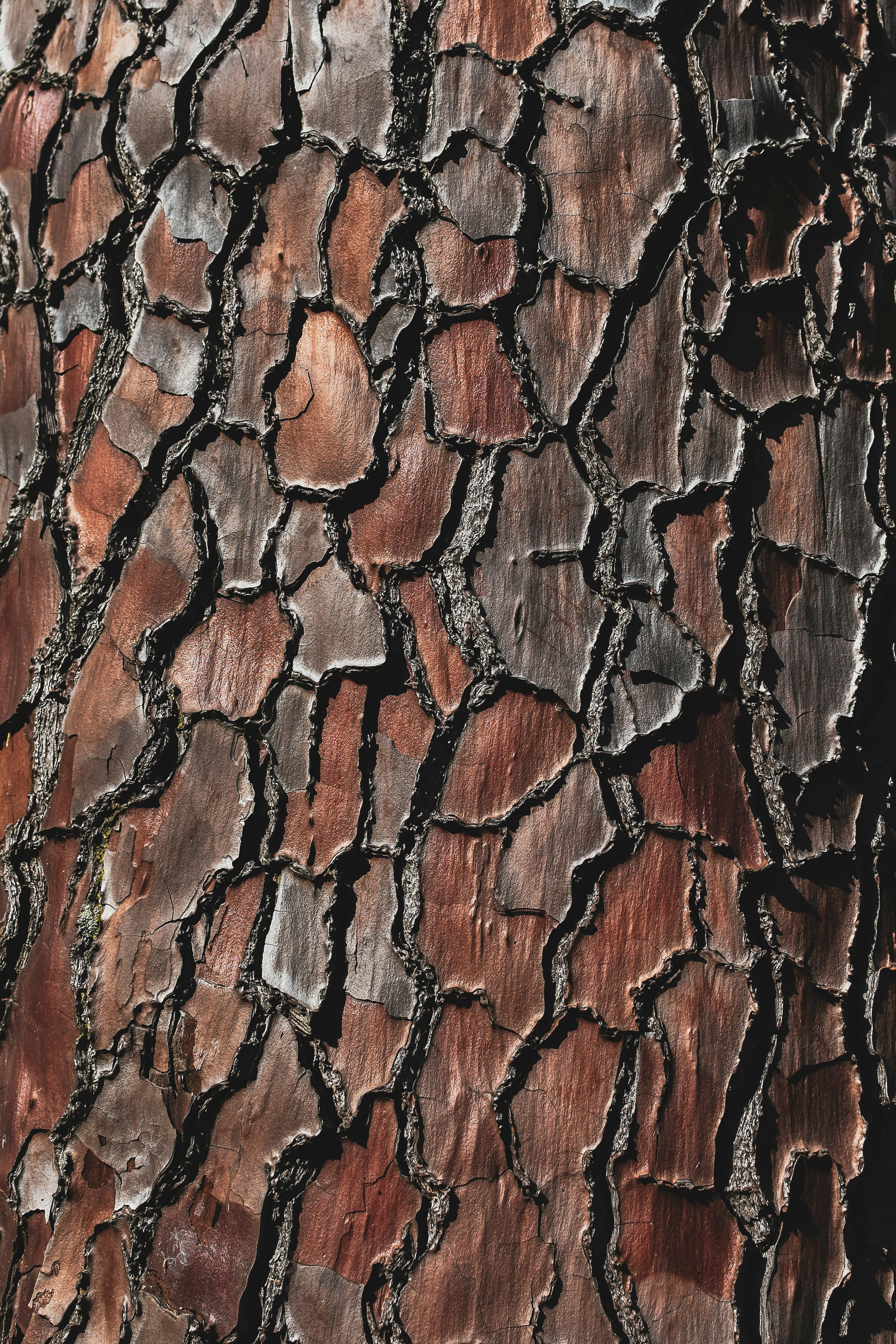 Photo by artem_makarov