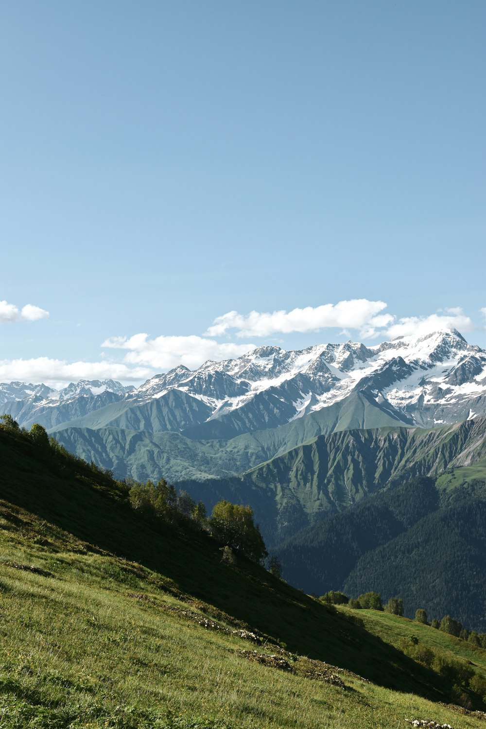 a grassy field with a mountain range in the background