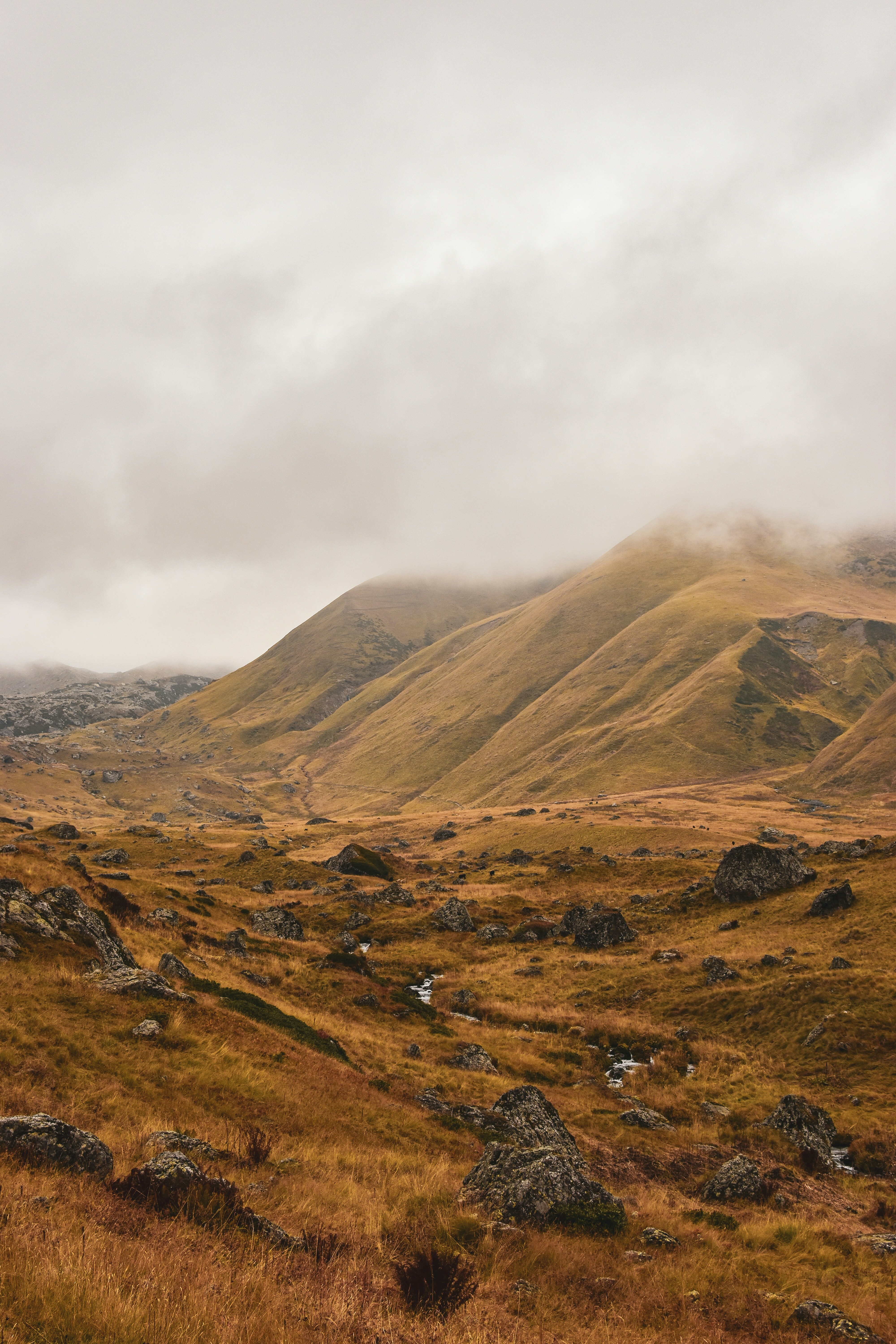 Photo by artem_makarov