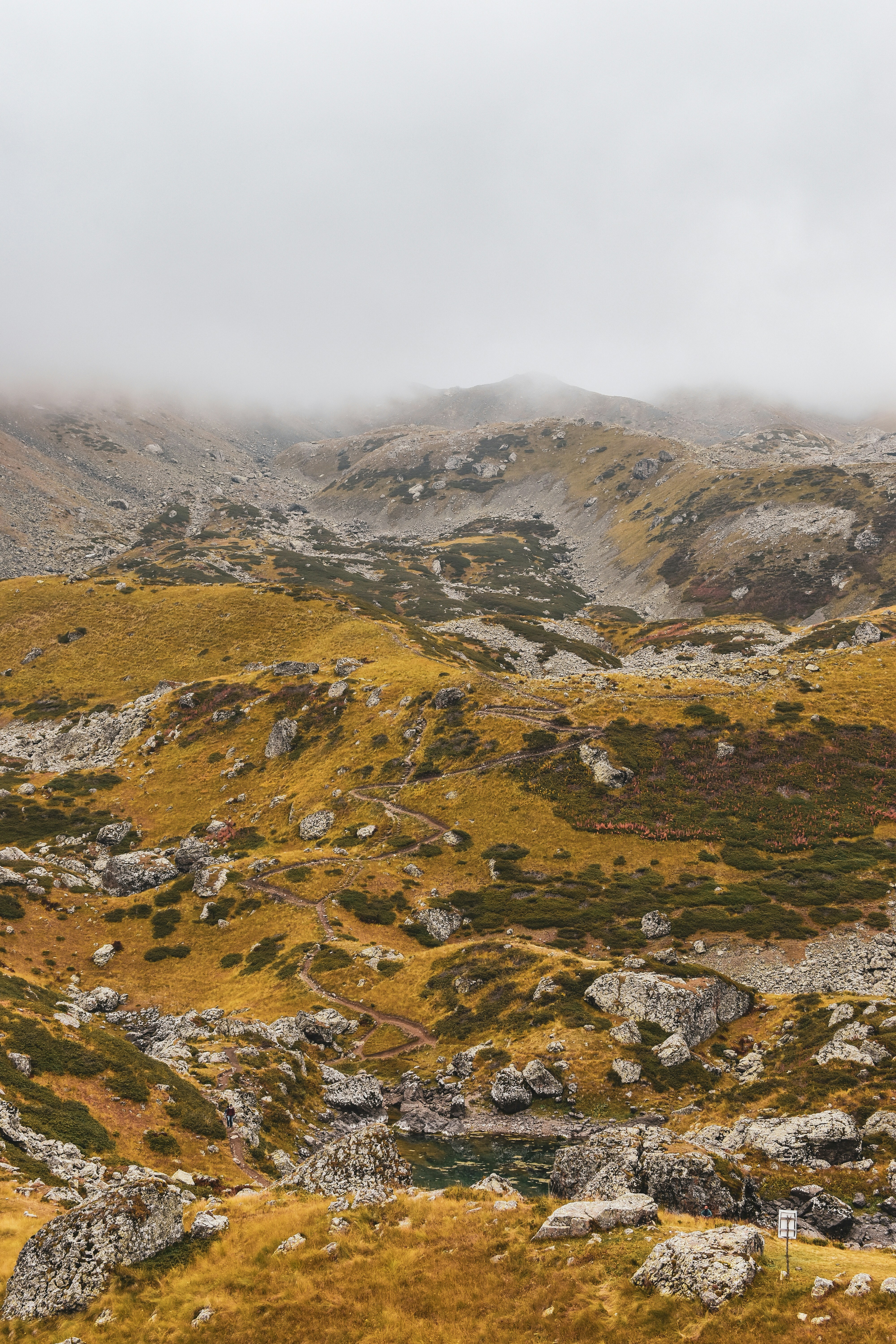 Photo by artem_makarov