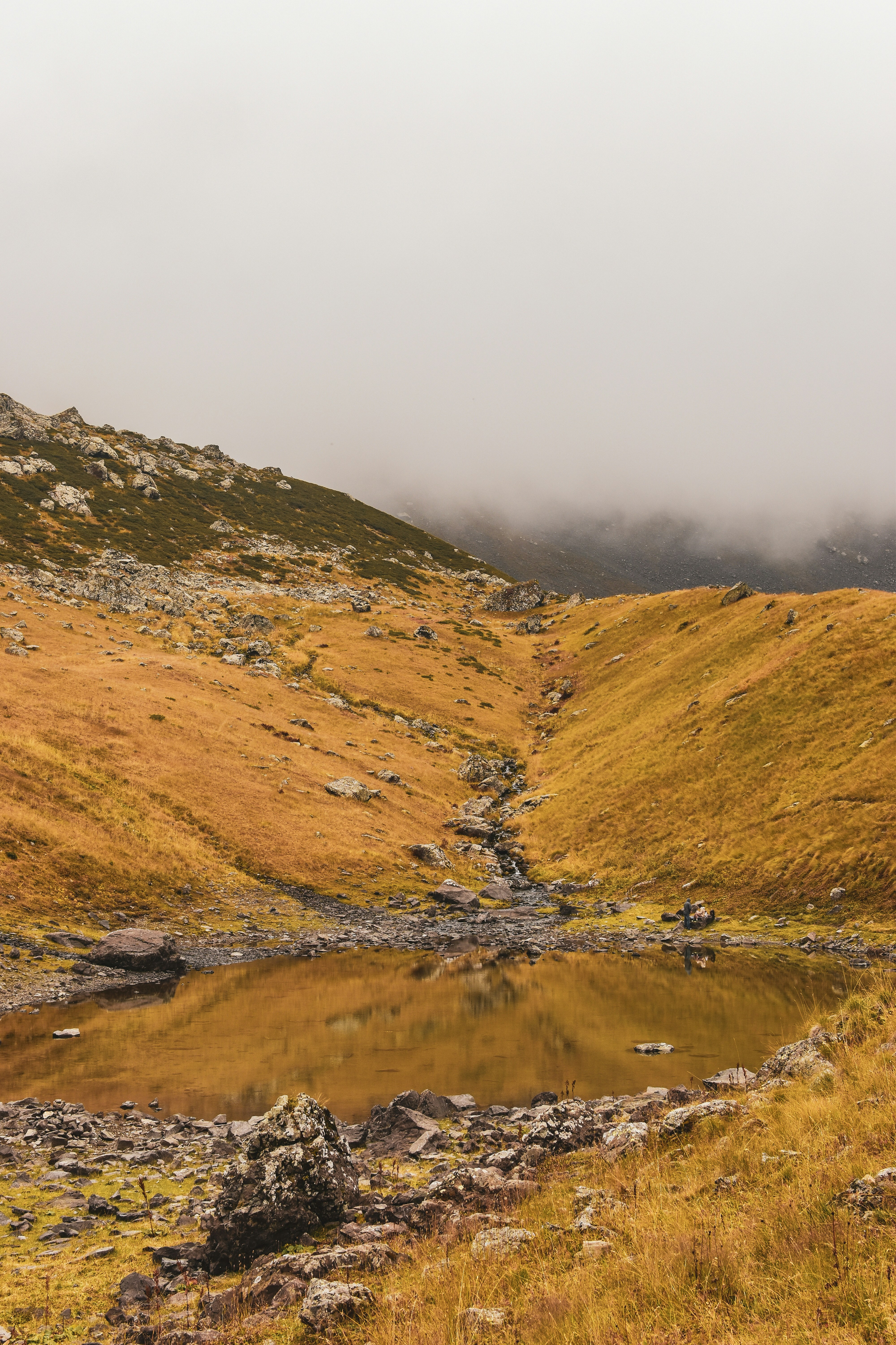 Photo by artem_makarov