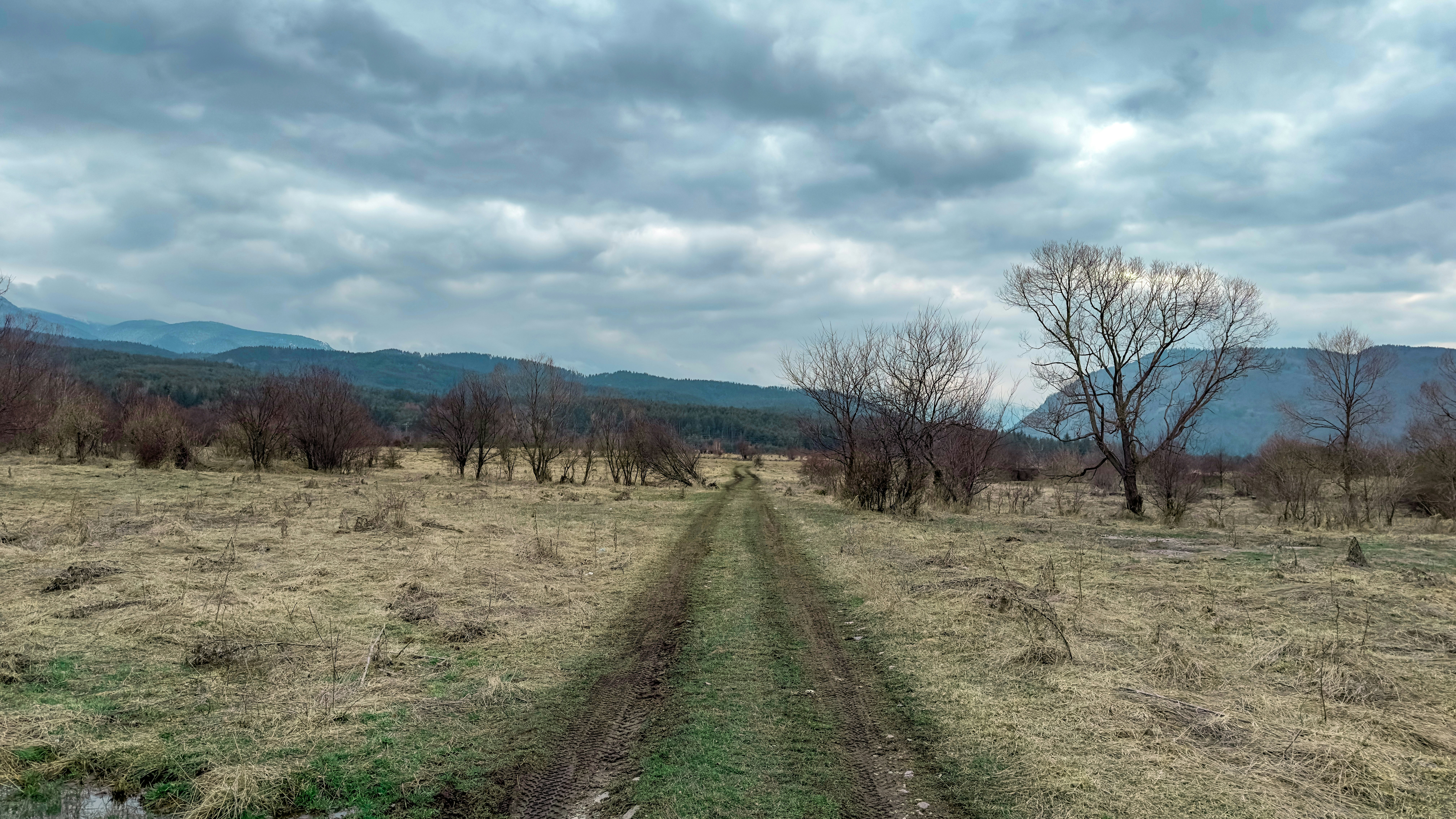 Photo by archange1michael