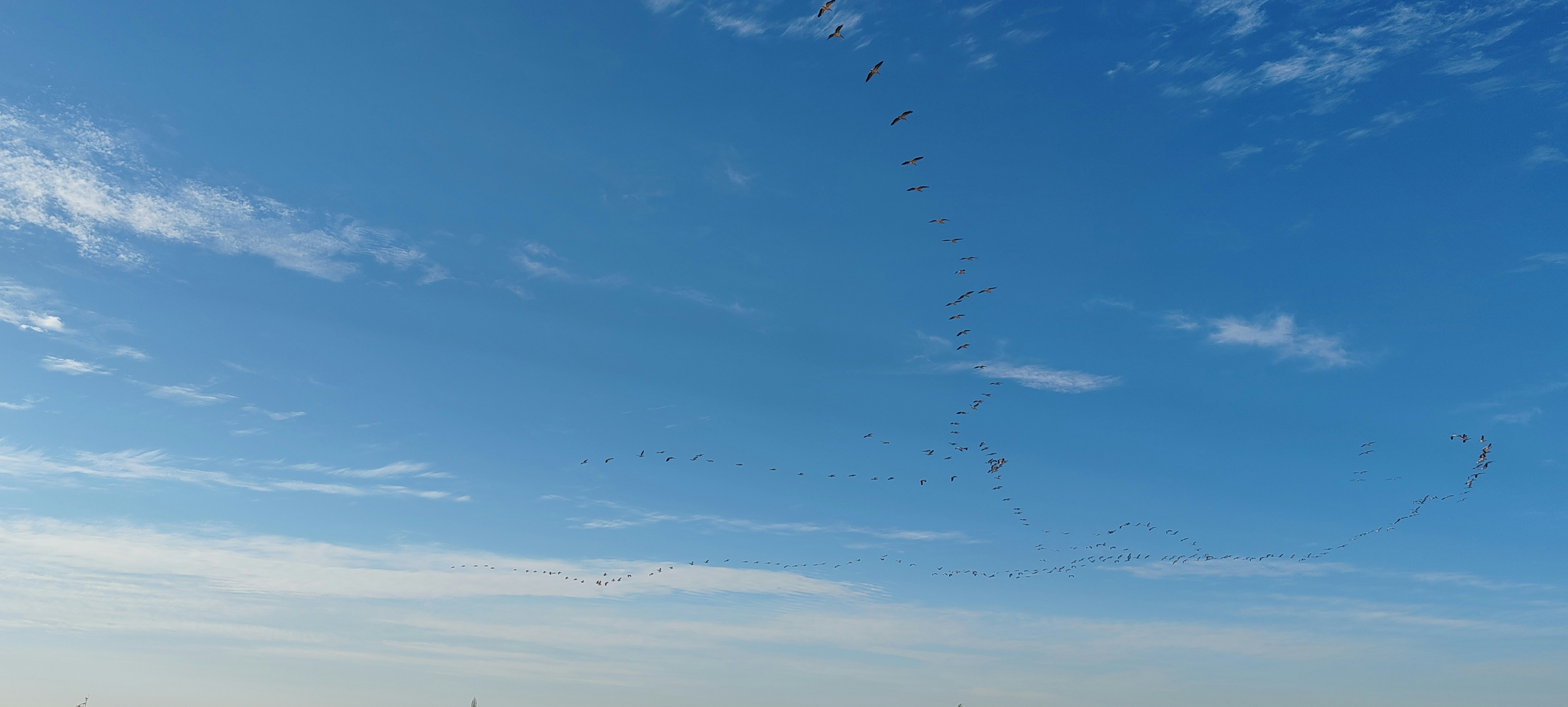 Photo by chintan4767