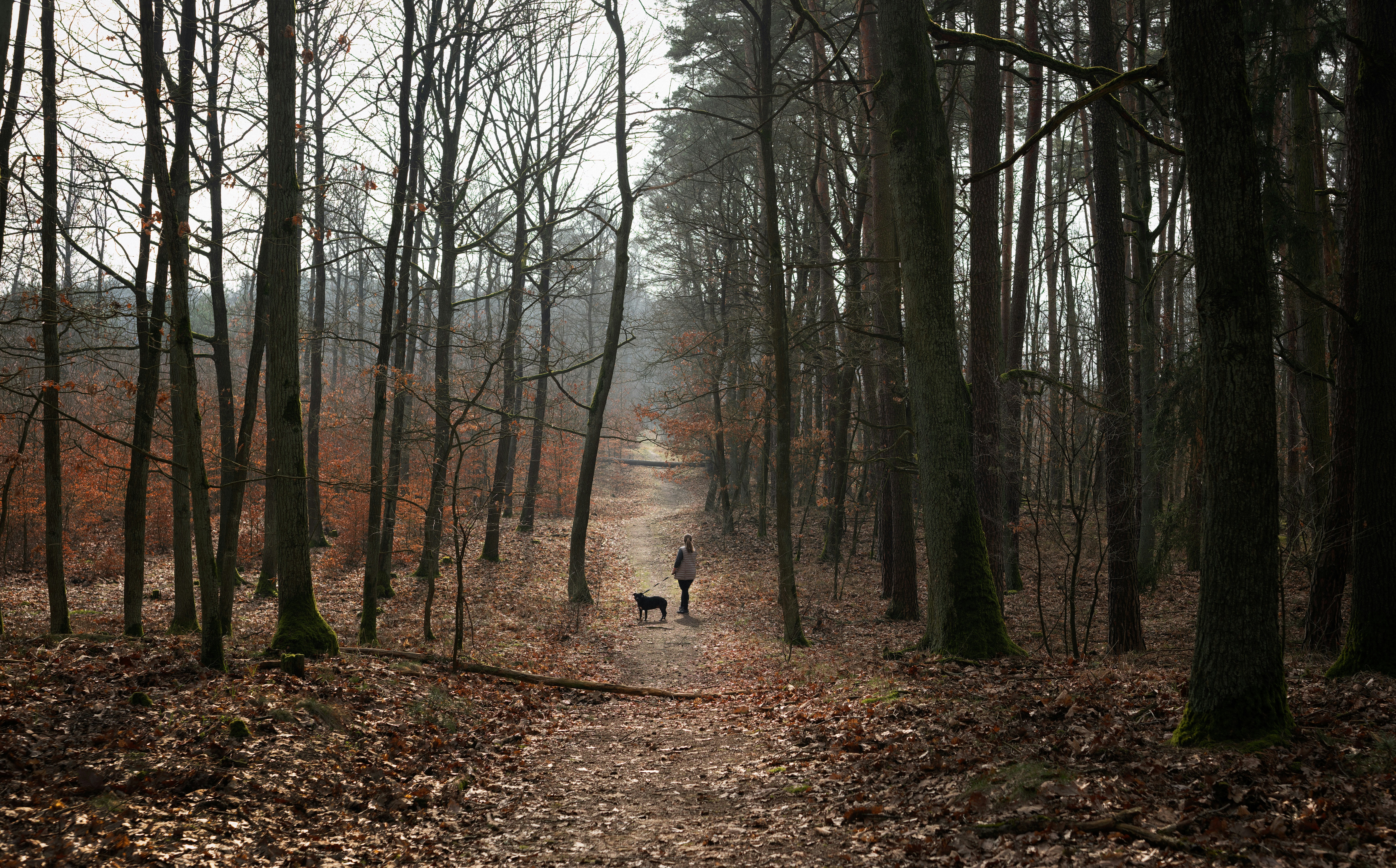 Photo by victor_vector