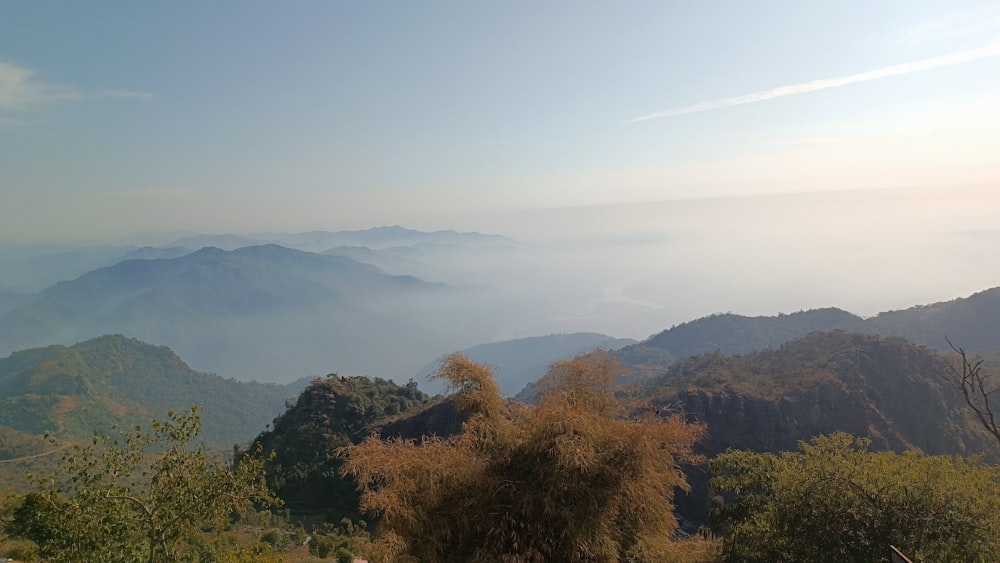 a view of a mountain range with trees in the foreground