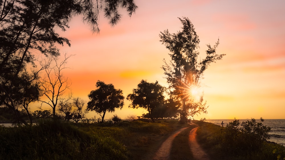 the sun is setting over the ocean and trees