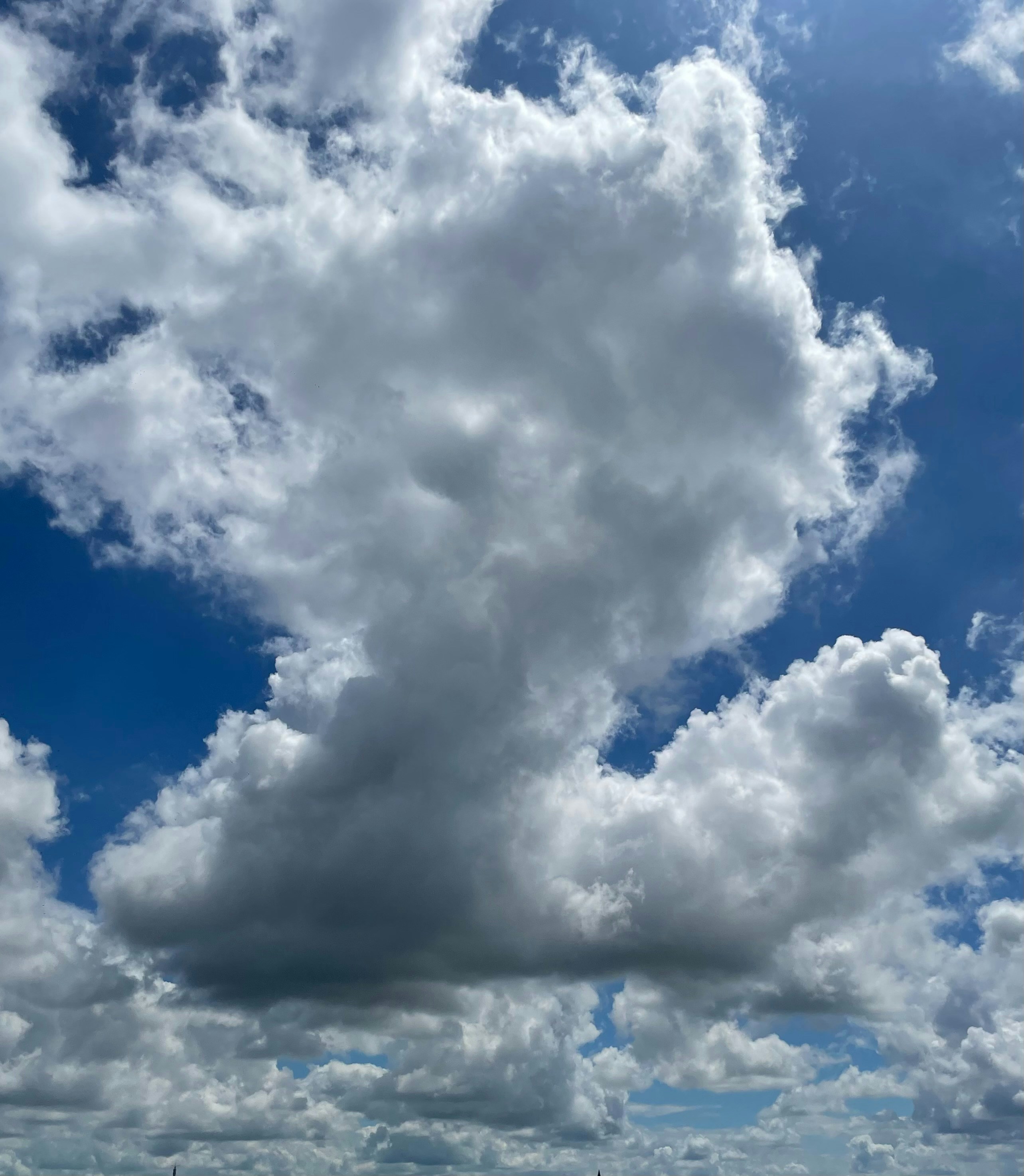 Photo by jfanyingjane