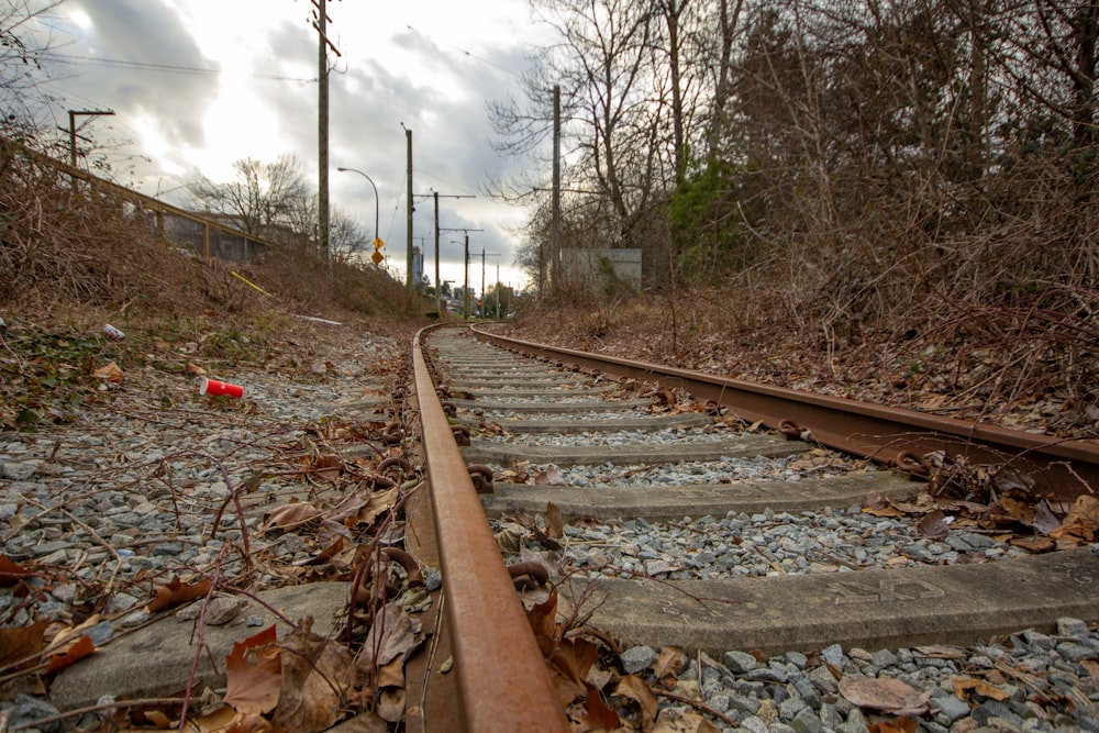 a set of train tracks running through a wooded area