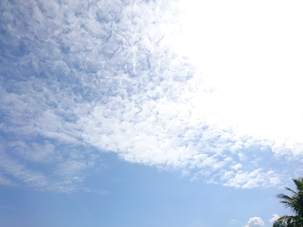 uma praia com algumas pessoas sob um céu azul nublado