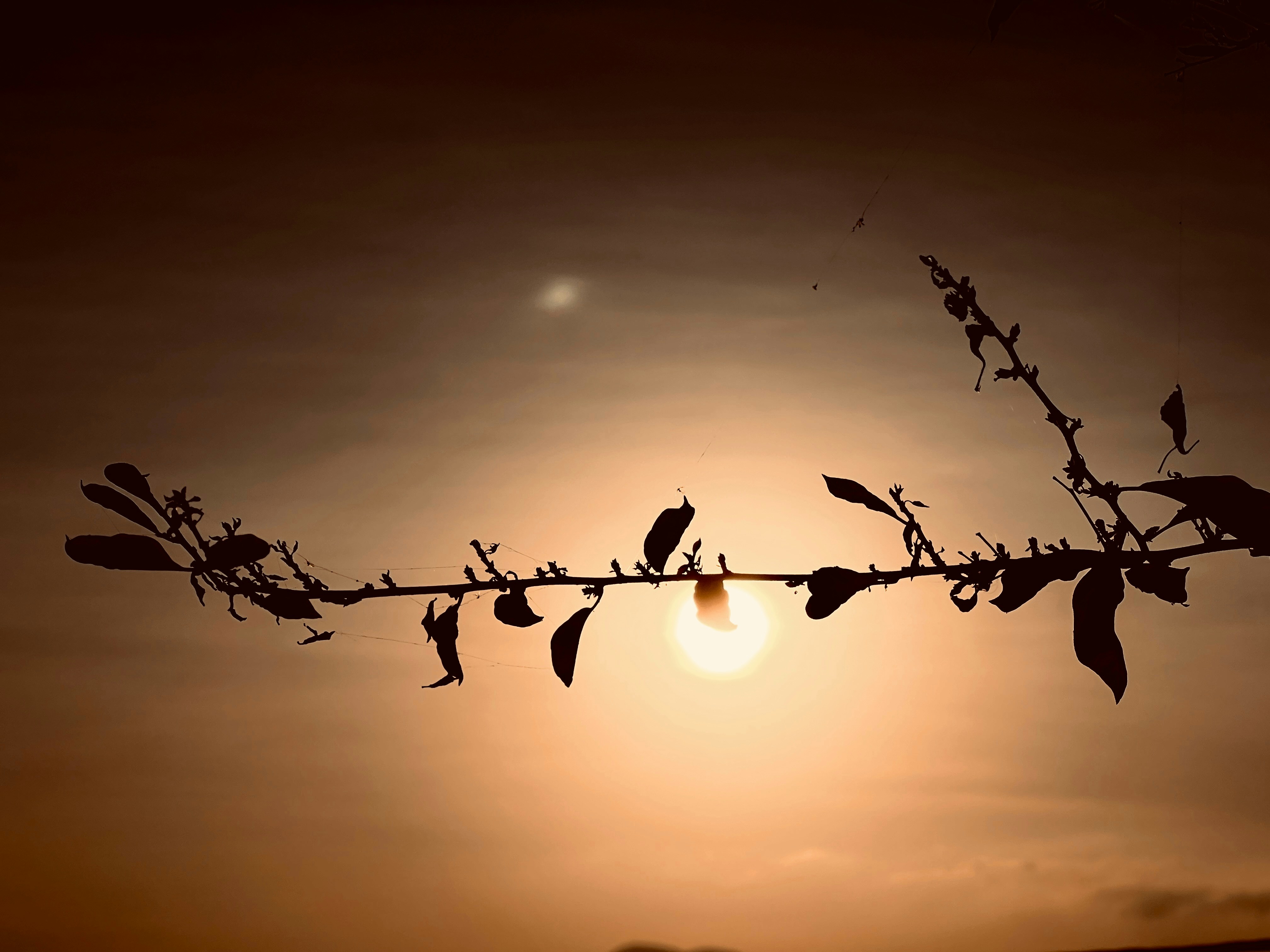 Photo by thanhliem178