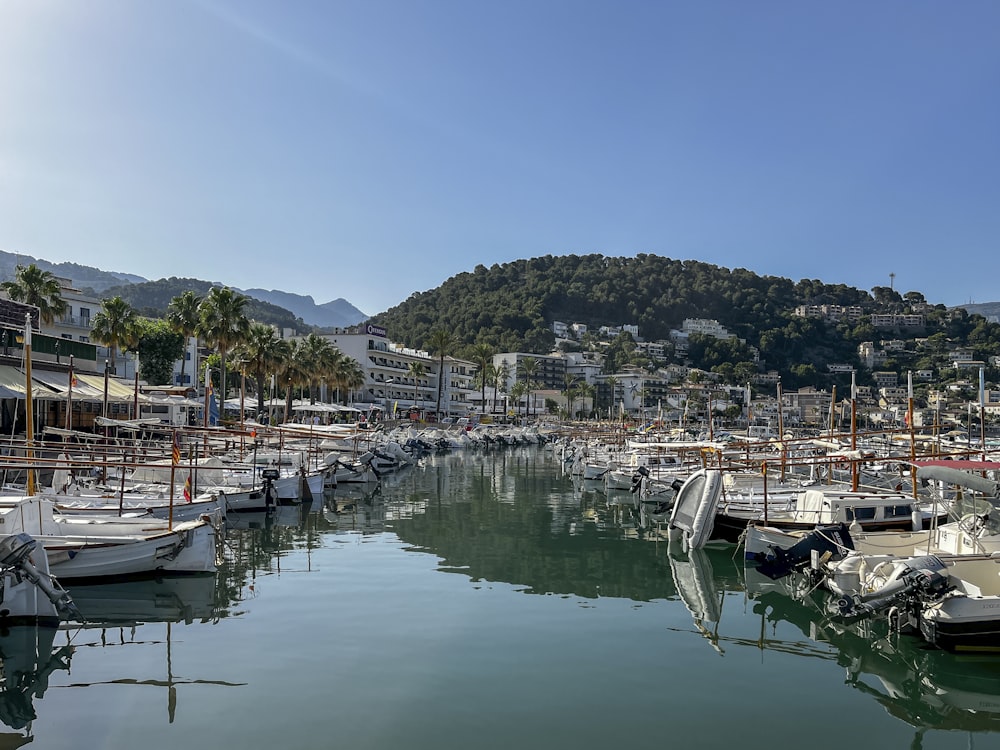 a marina filled with lots of white boats