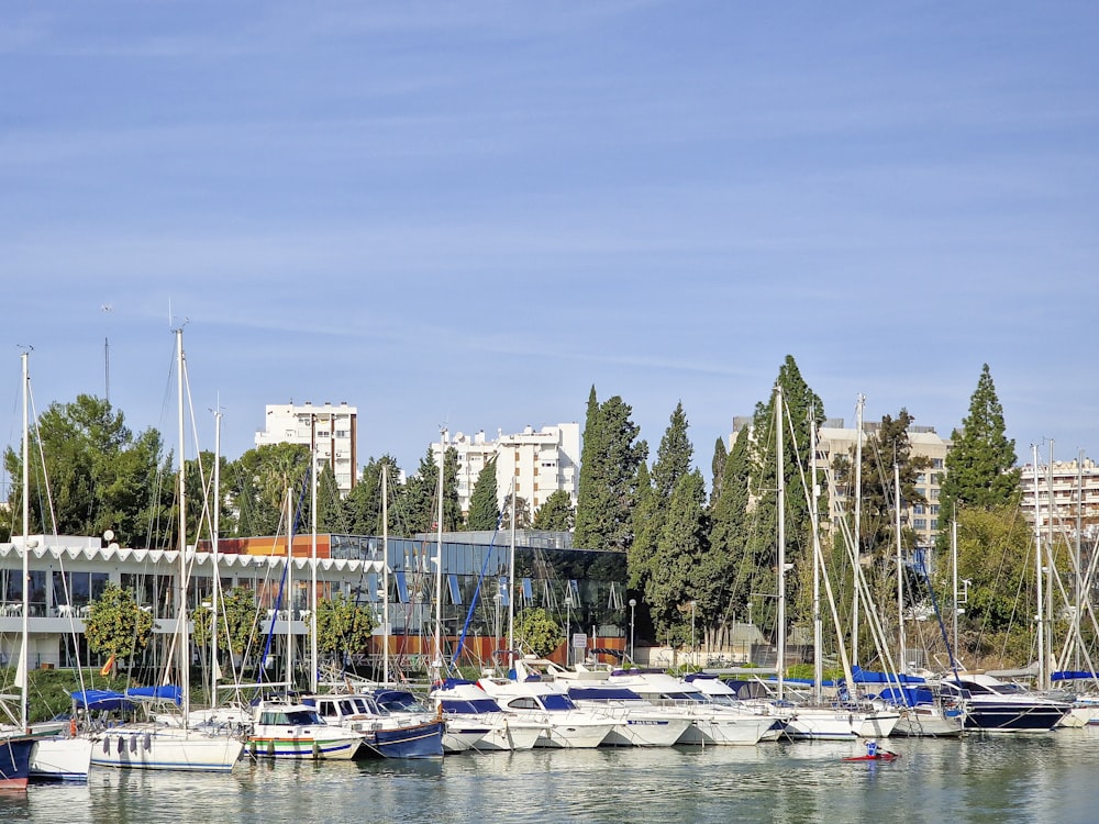 a bunch of boats that are sitting in the water