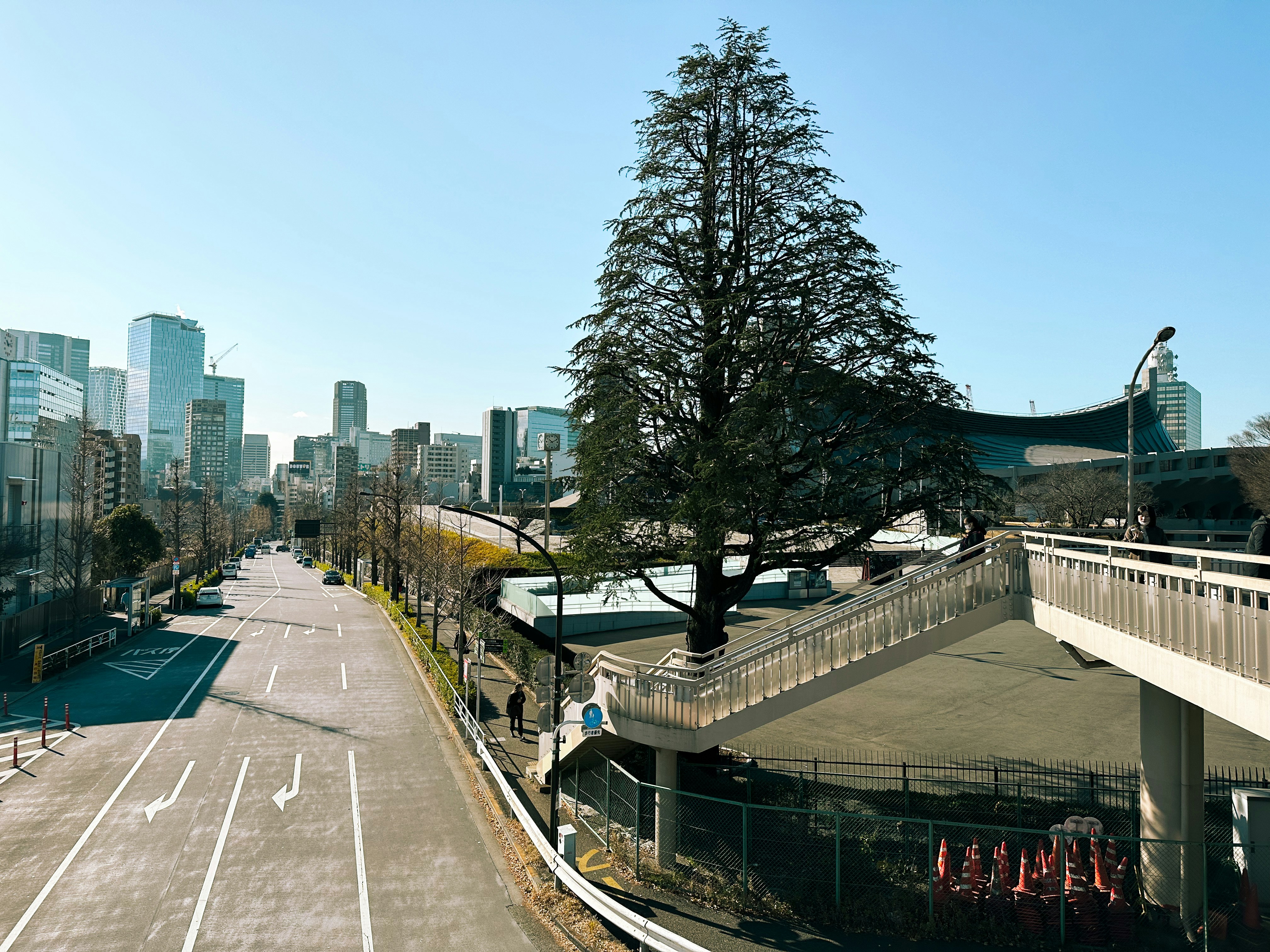 Exploring Harajuku and Meiji Shrine