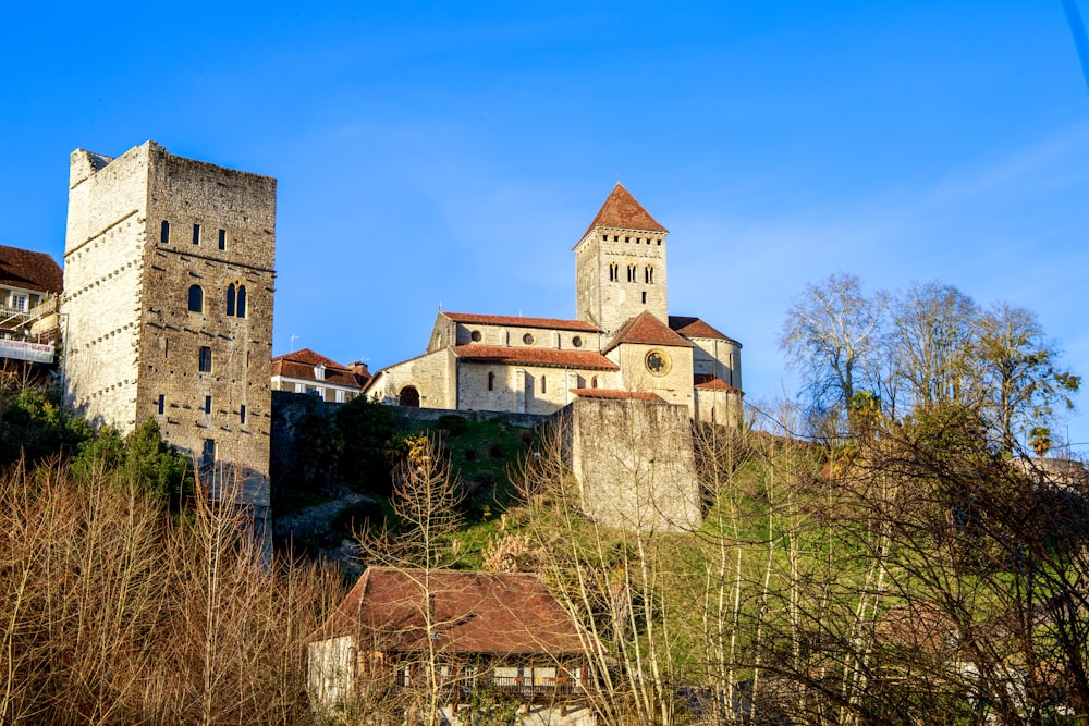 a castle on top of a hill surrounded by trees