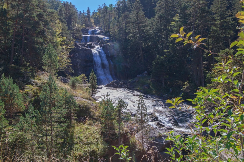 a large waterfall in the middle of a forest