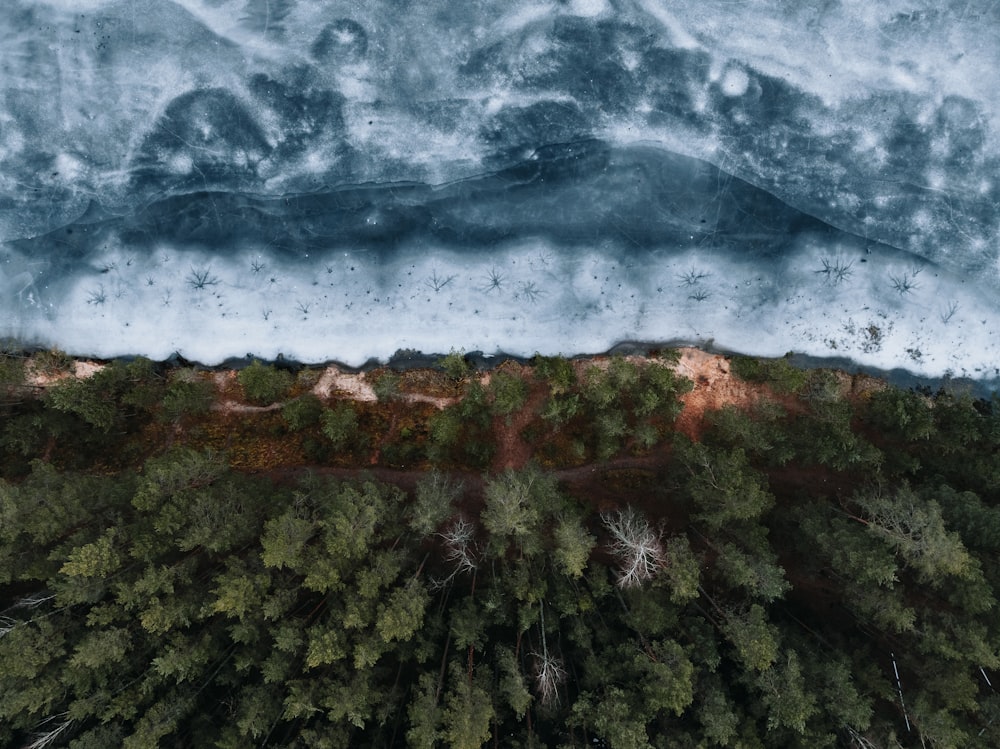 an aerial view of a forest and a body of water