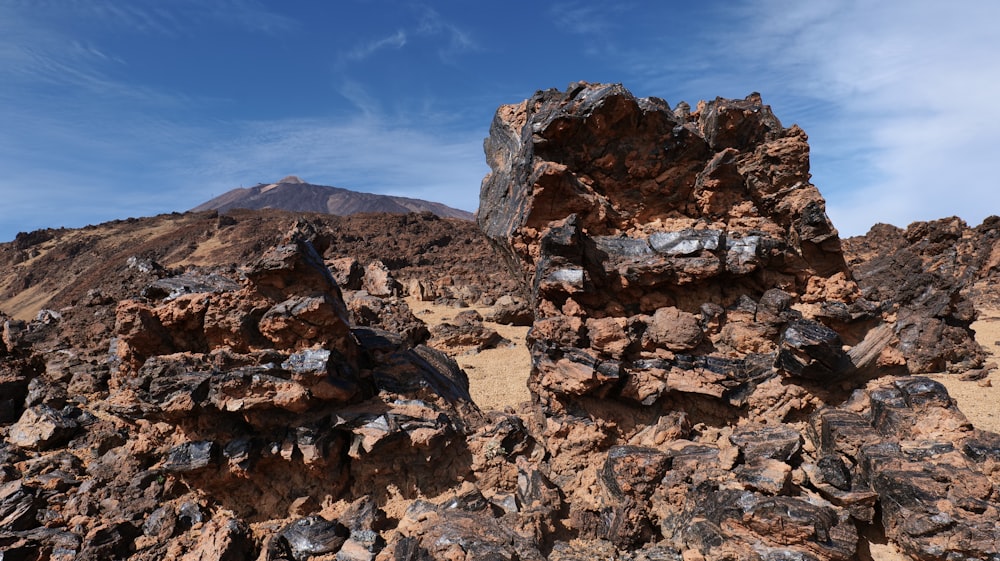 a rocky landscape with a mountain in the background