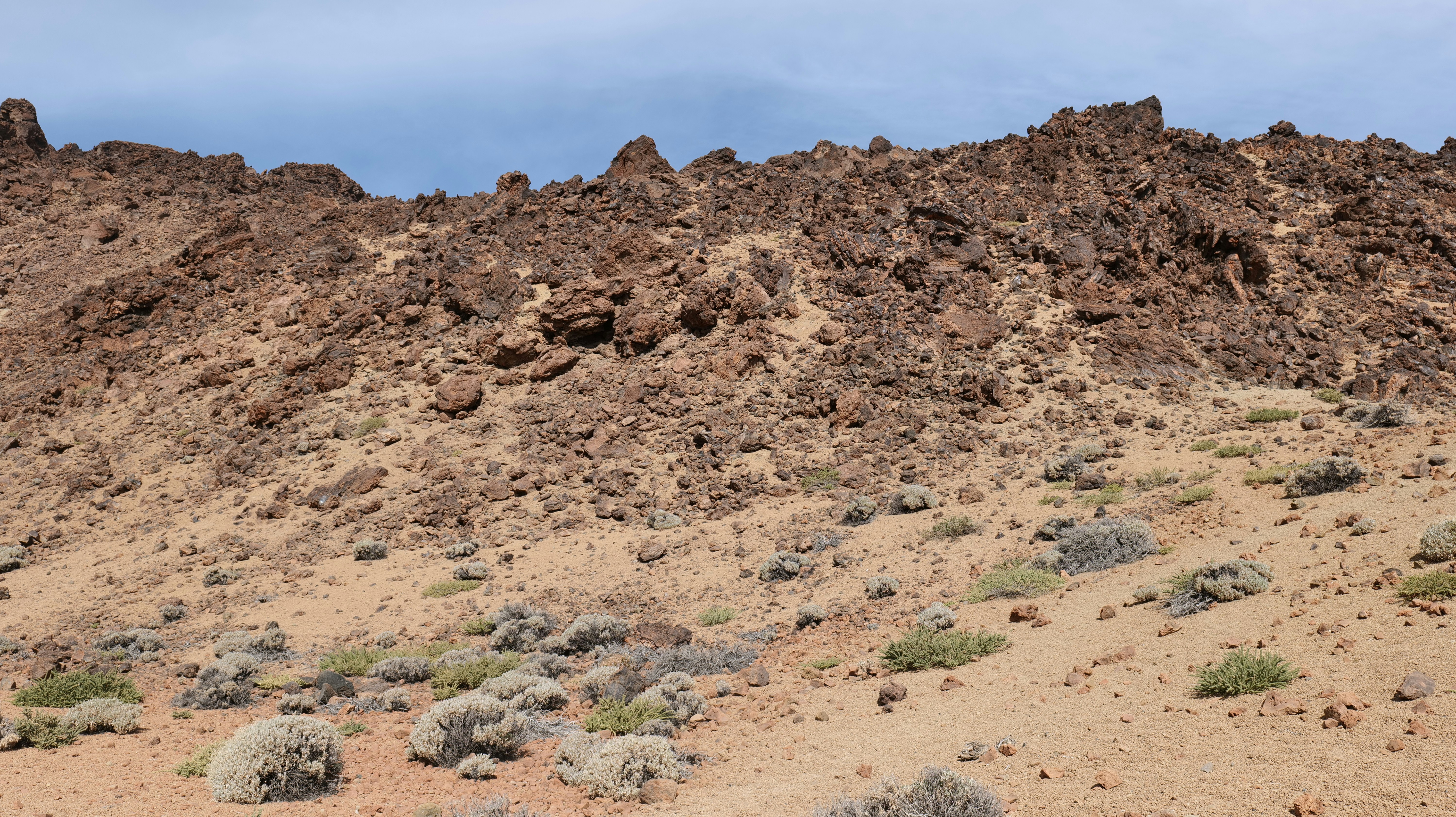 Photo by trisolarian