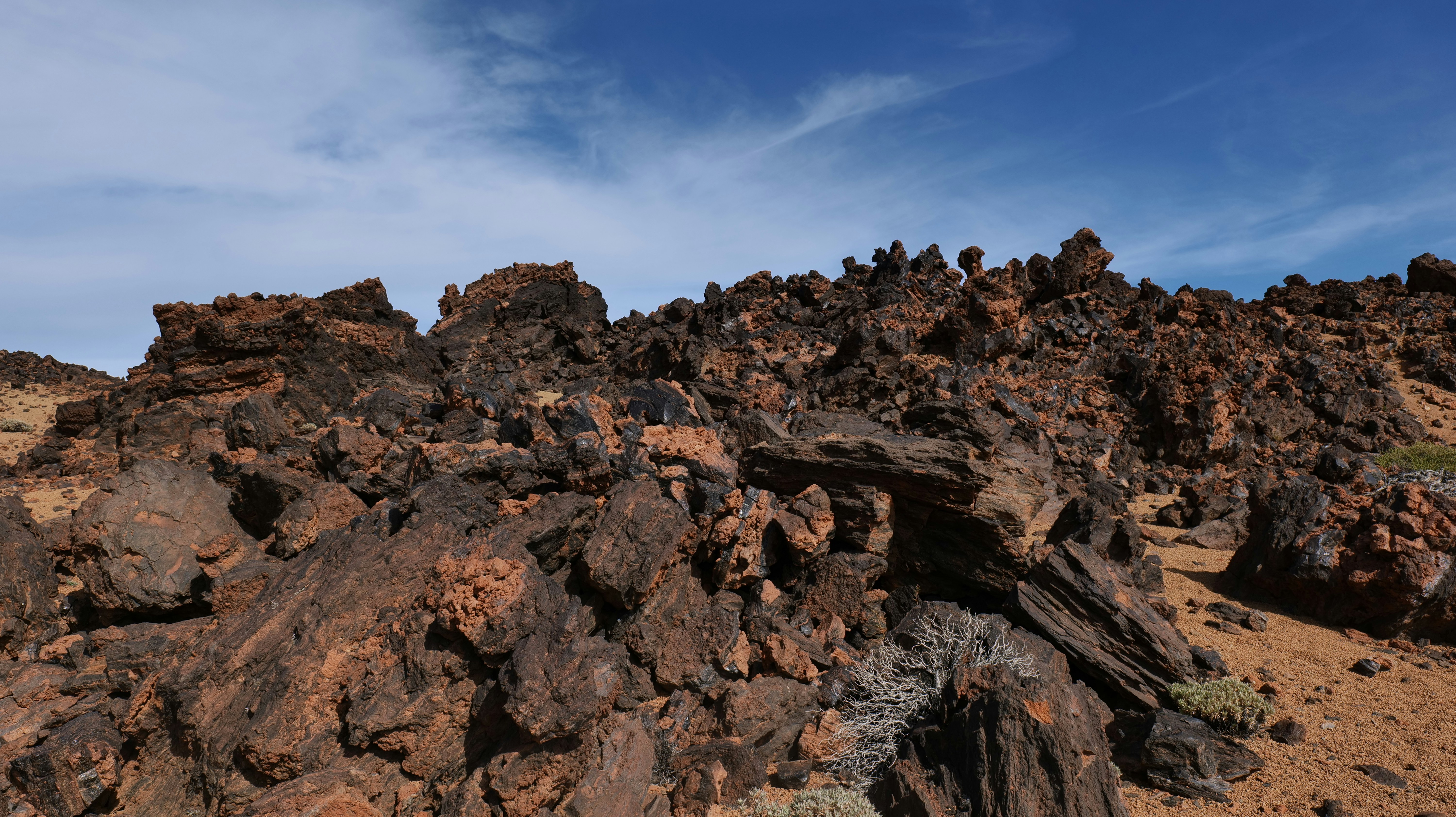 Photo by trisolarian