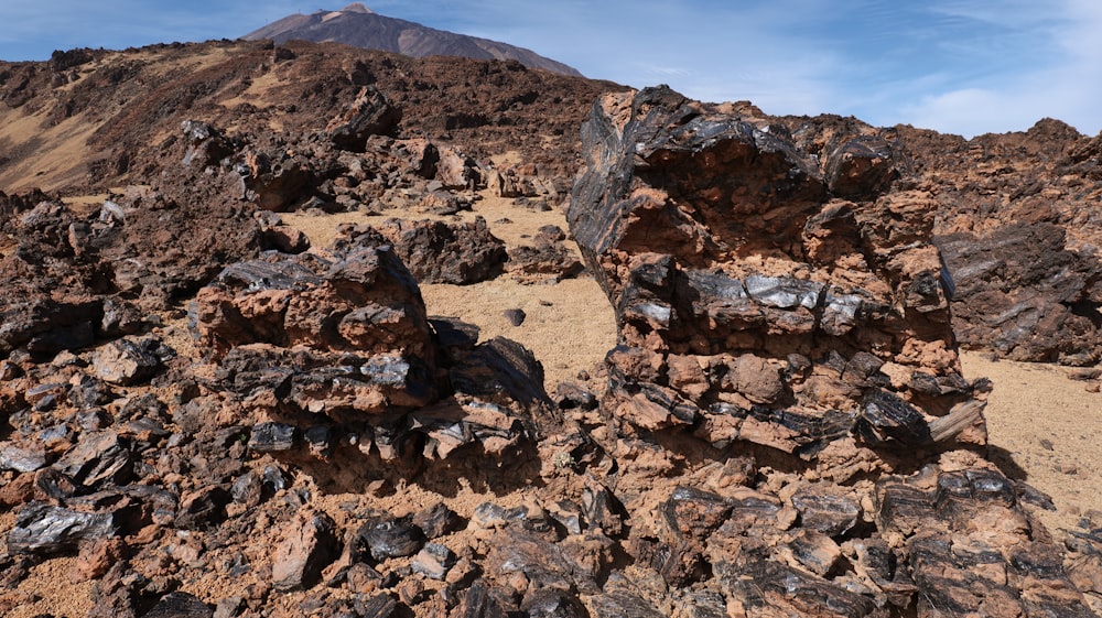 a pile of rocks with a mountain in the background