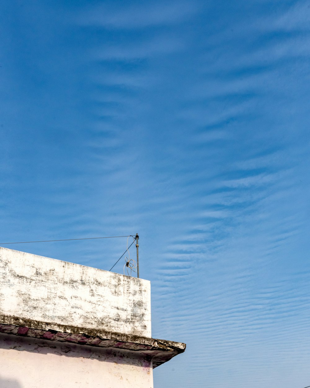 a bird is perched on the roof of a building