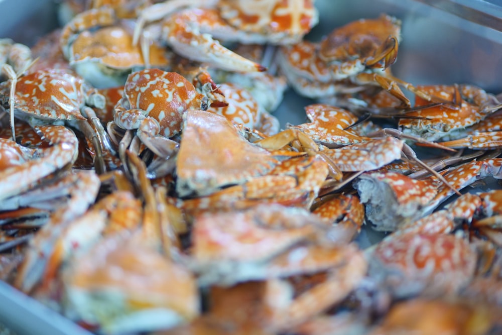 a container filled with lots of orange and white crabs