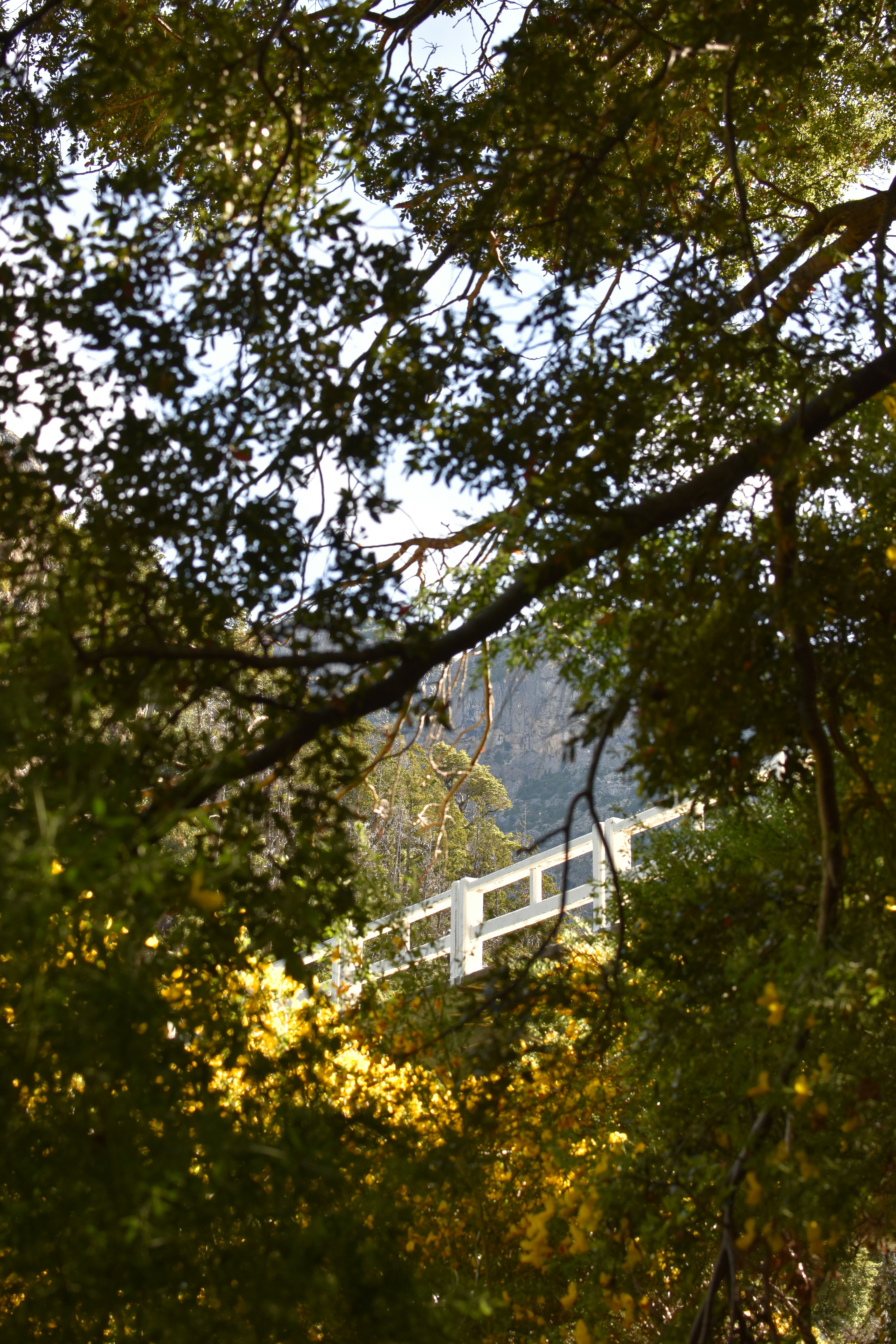 Photo by natigini16_