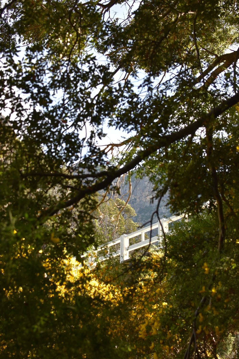 a view of a bridge through some trees