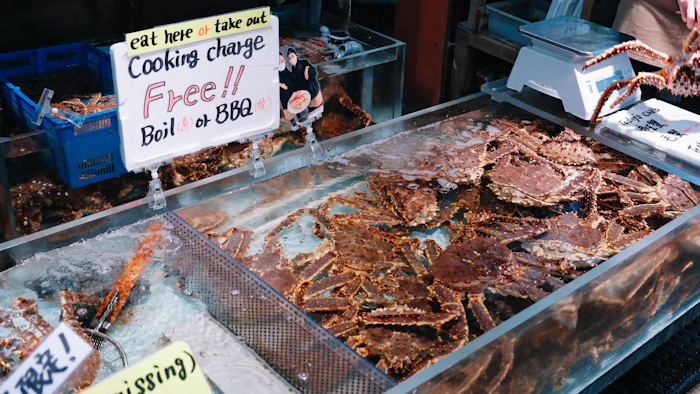 Best Solo Traveler Spots in Hakodate: Where to Eat, Drink, and Connect