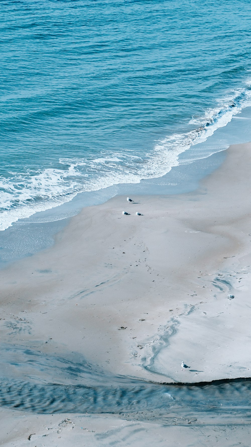 a person riding a surfboard on the beach