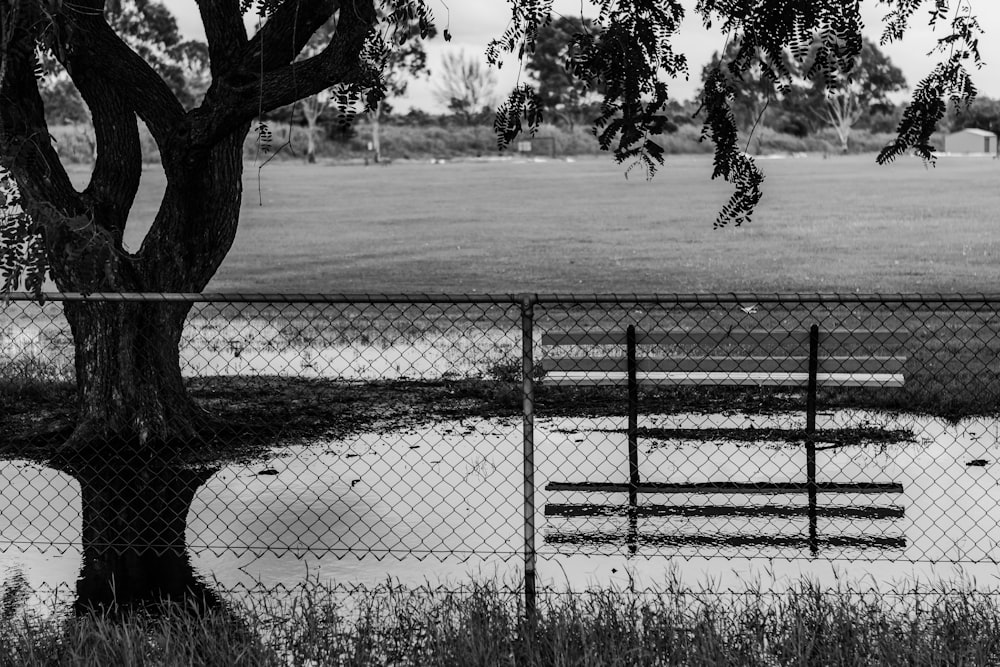 a black and white photo of a park bench