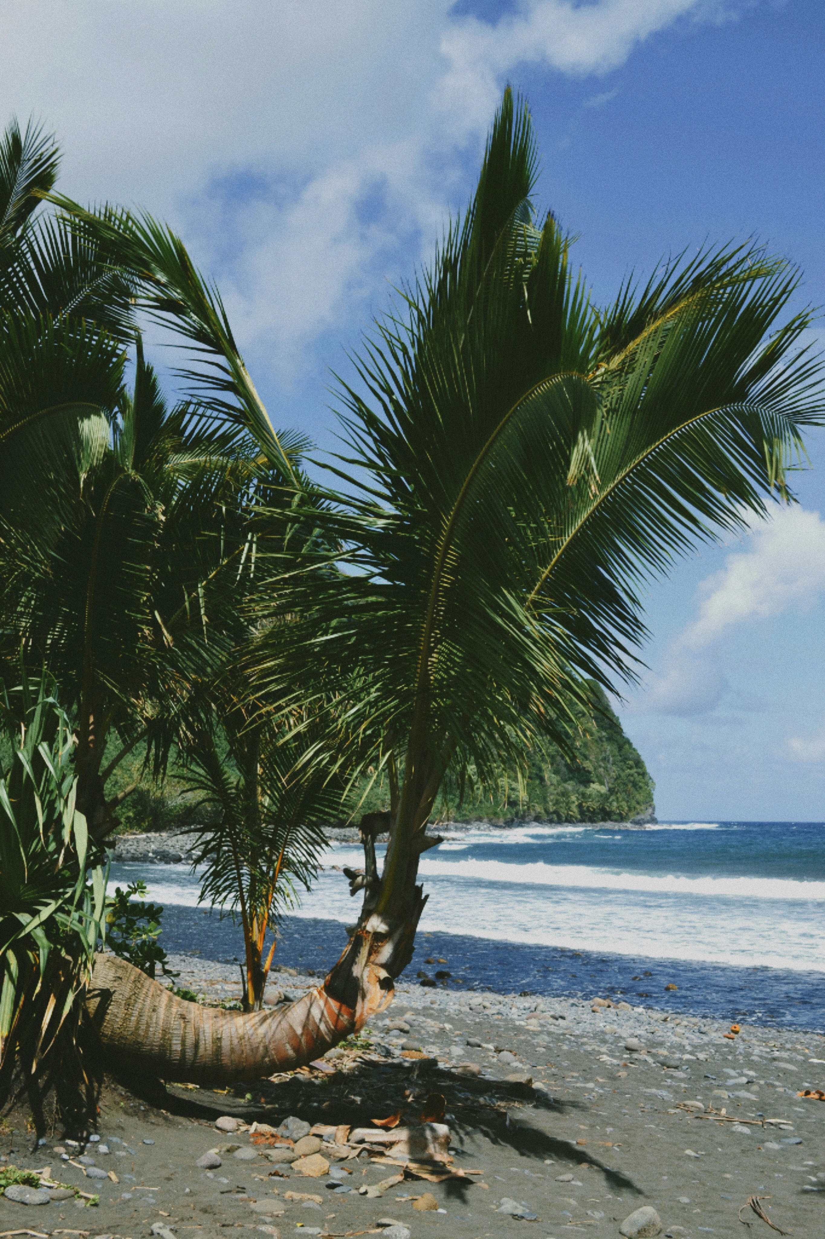 Photo by anivardiero