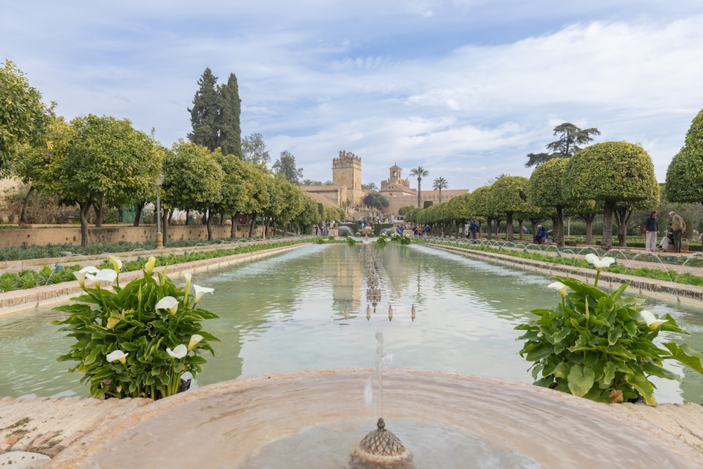 a water fountain surrounded by trees and flowers