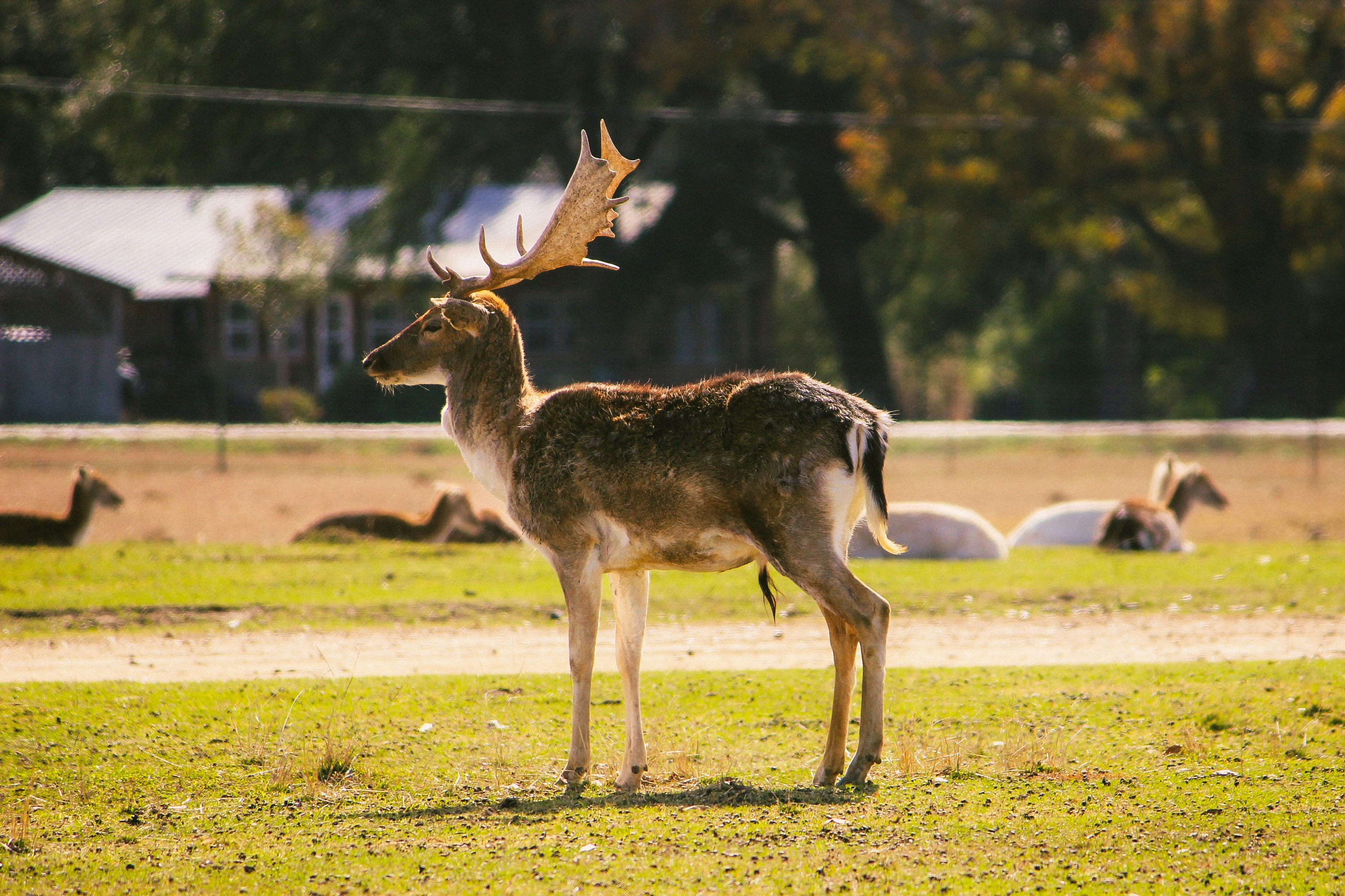 Photo by joylynn_goh