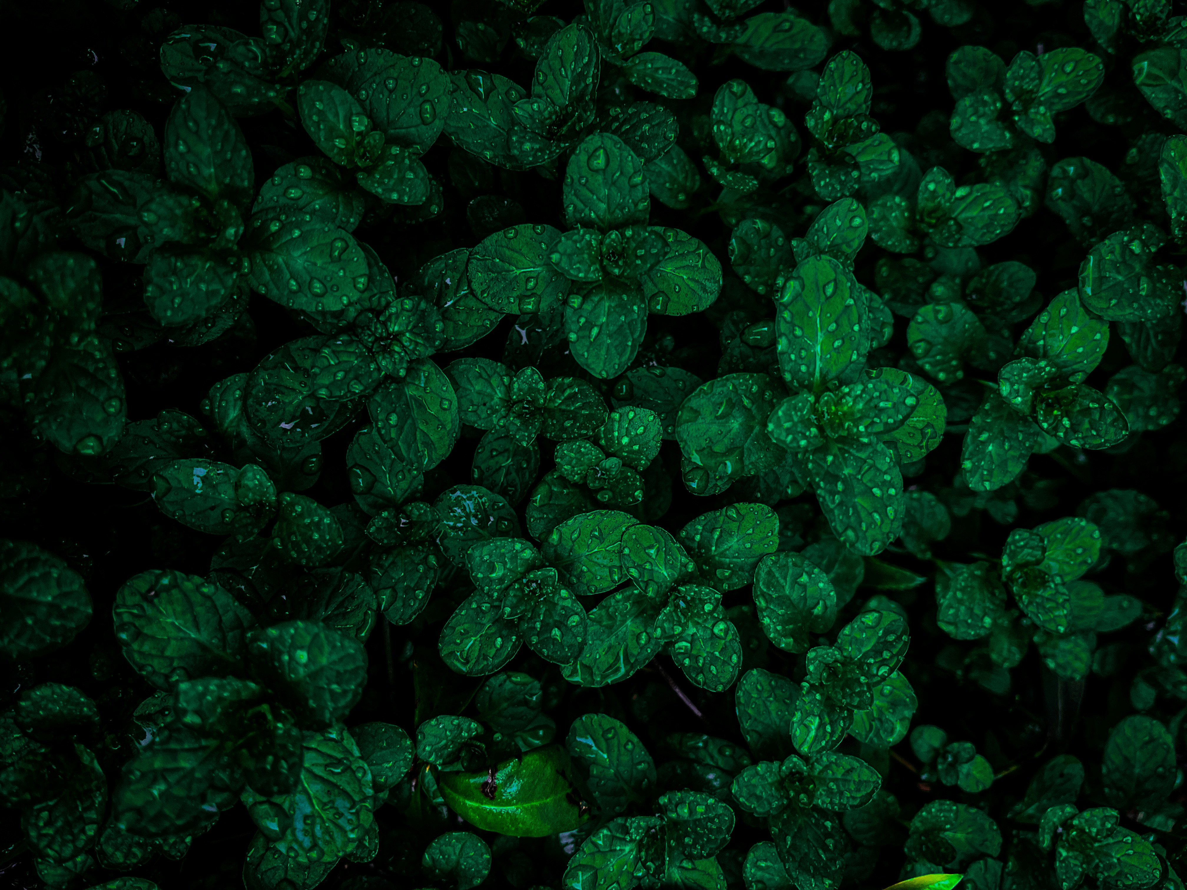 Photo by zeesha_clicks