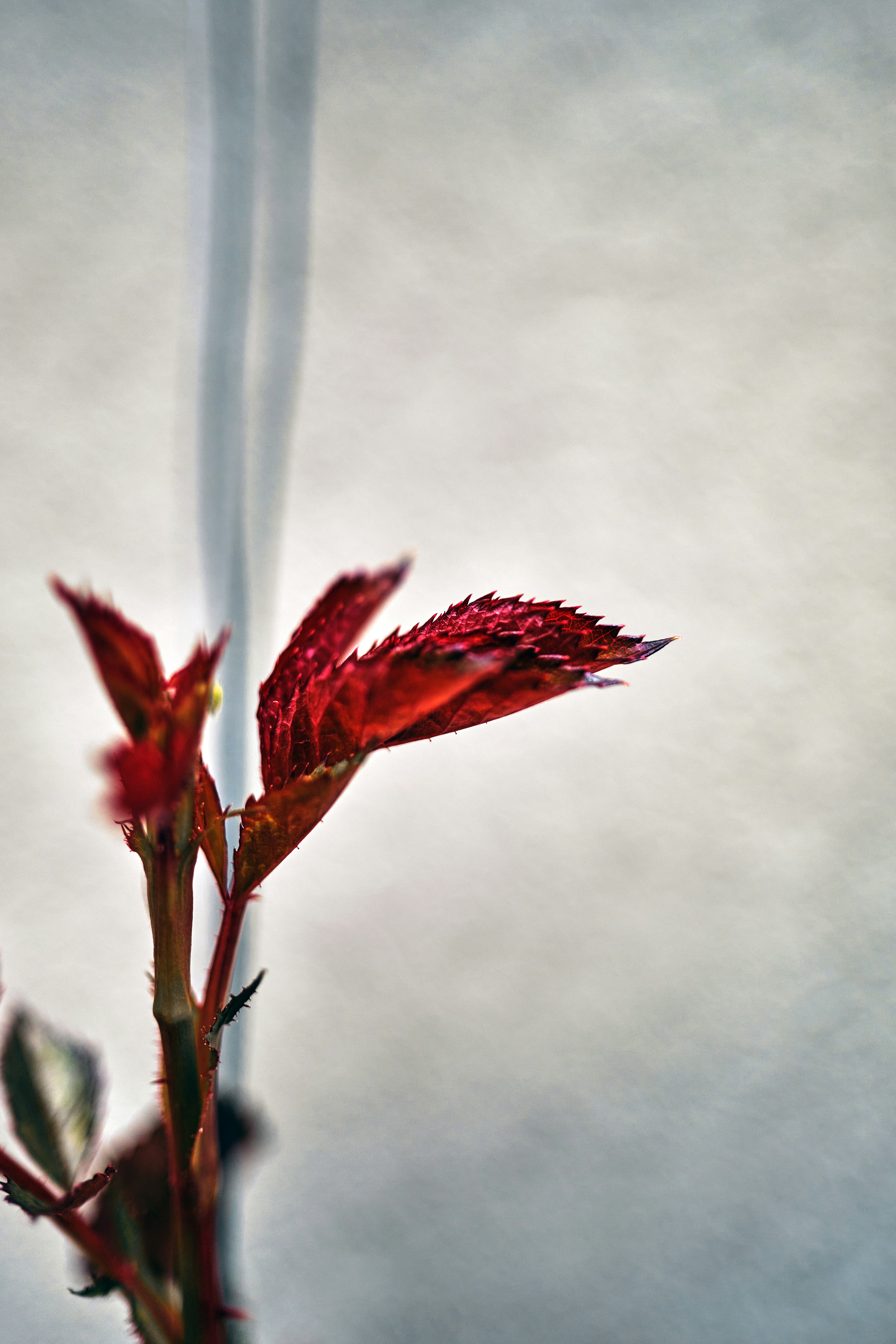 Photo by marcus_ganahl