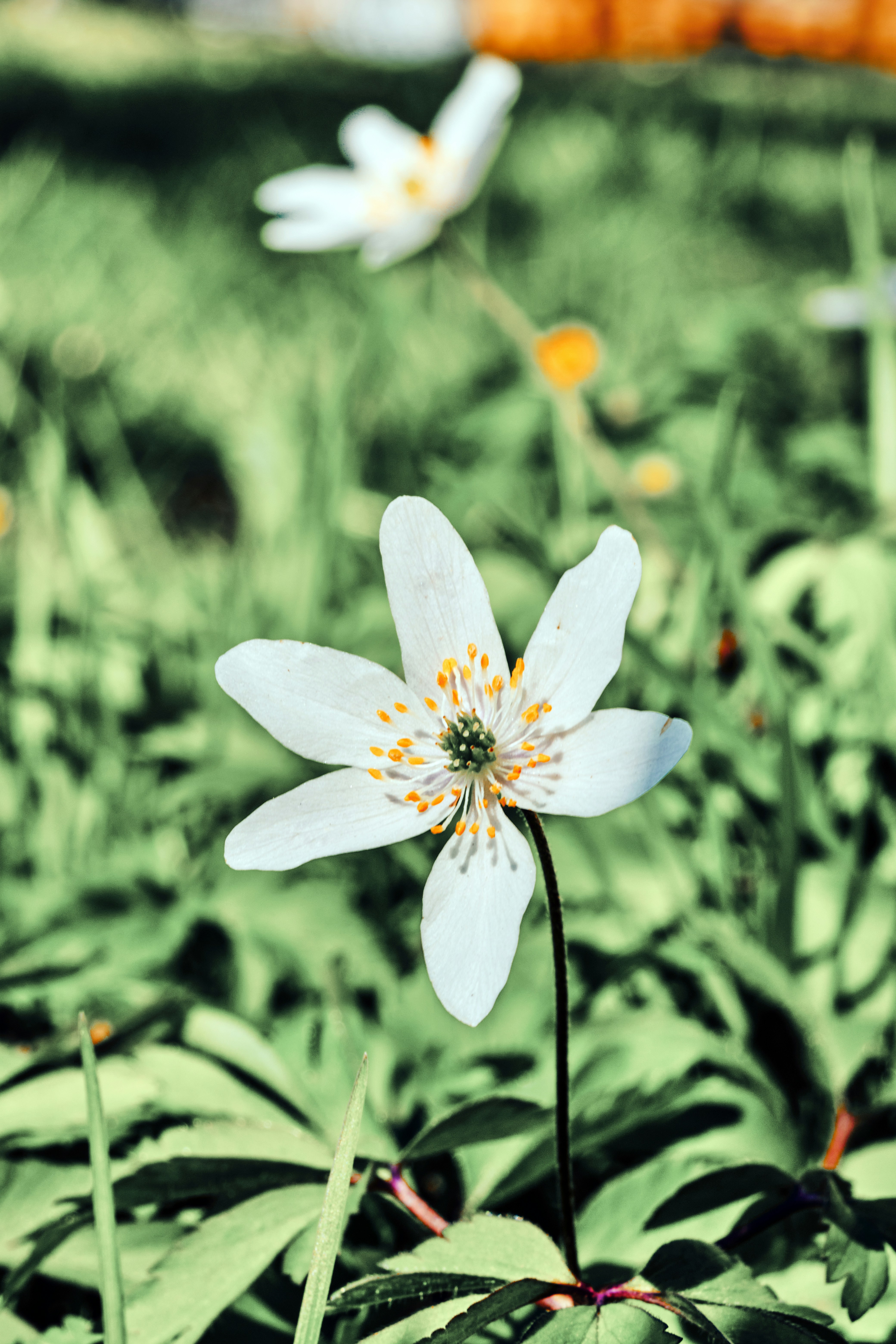 Photo by marcus_ganahl