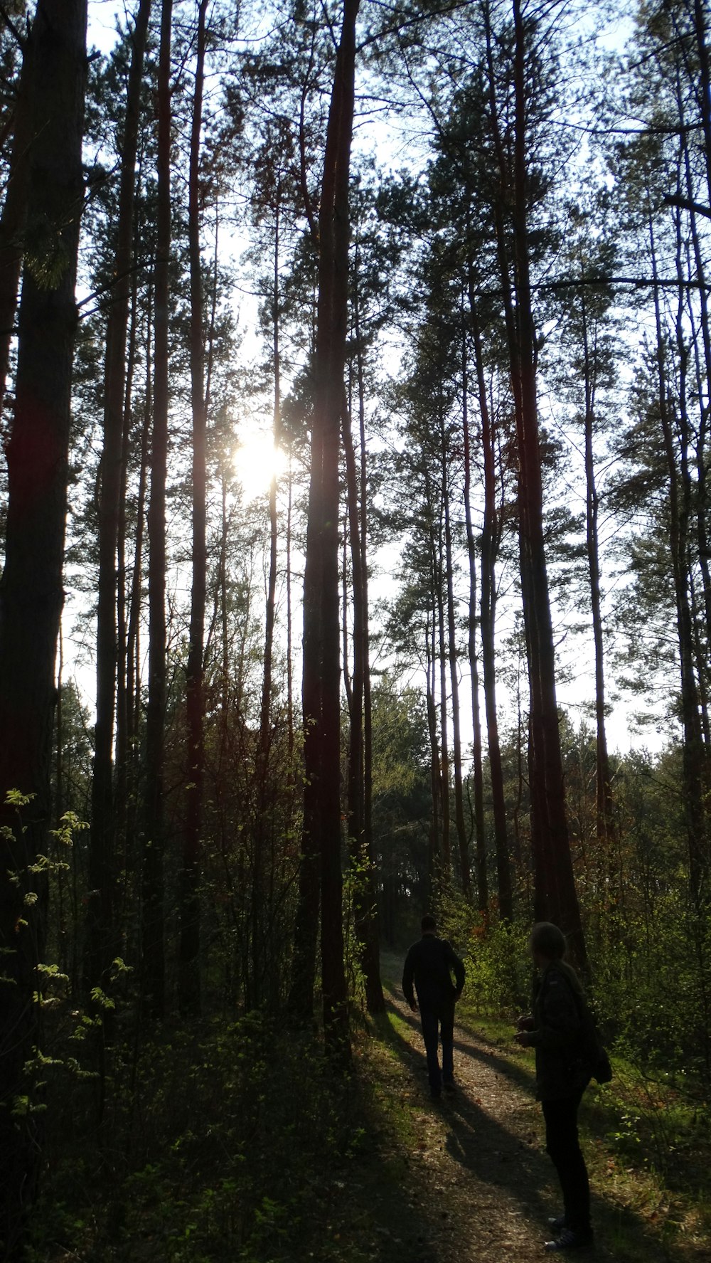 a couple of people that are walking in the woods