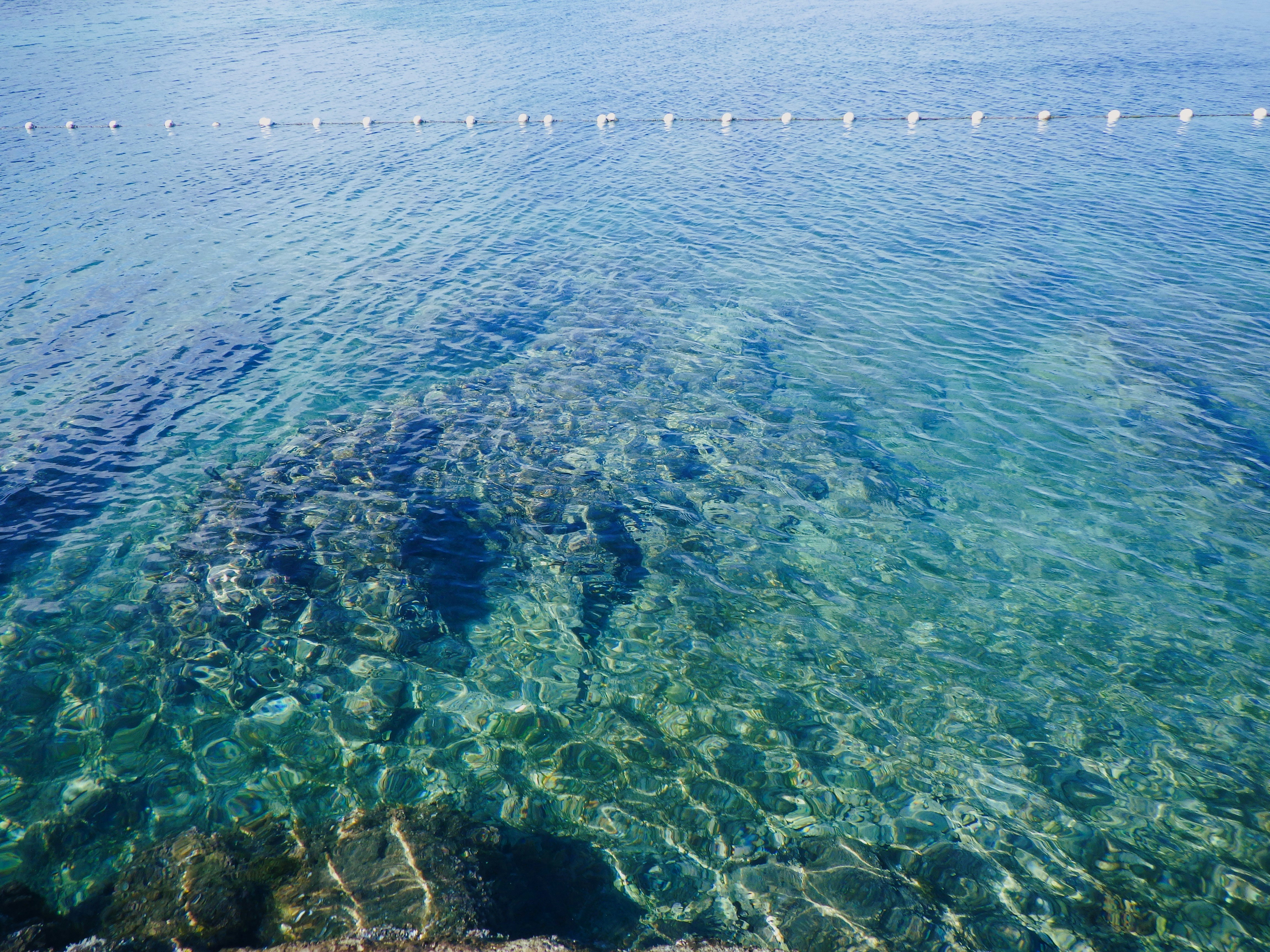 Photo by dominapetric