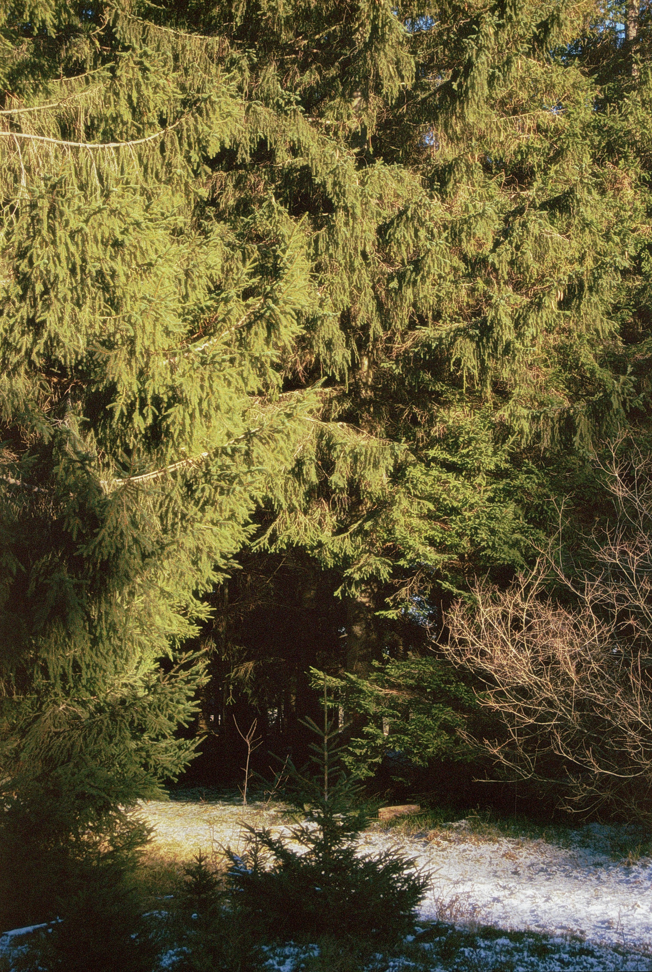 Photo by artistseyes