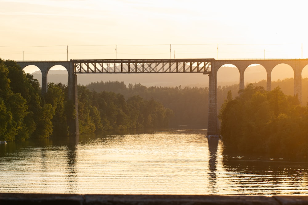 a bridge over a body of water with trees in the background