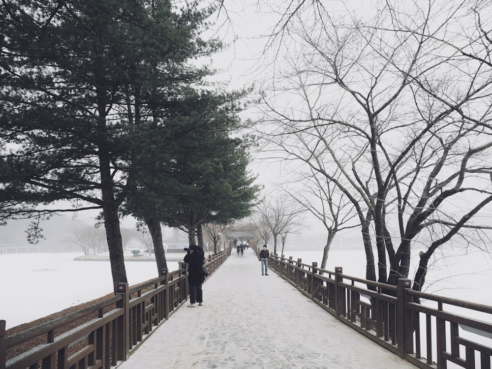 pessoas caminhando em uma ponte na neve