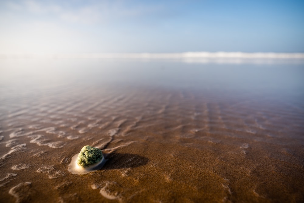 a rock sitting on top of a sandy beach