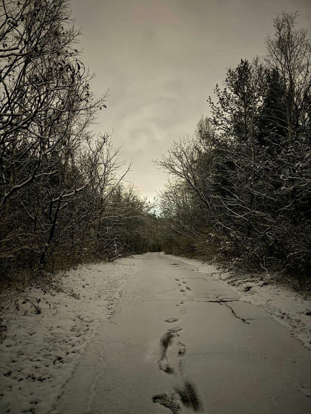 a trail in the snow with footprints in the snow