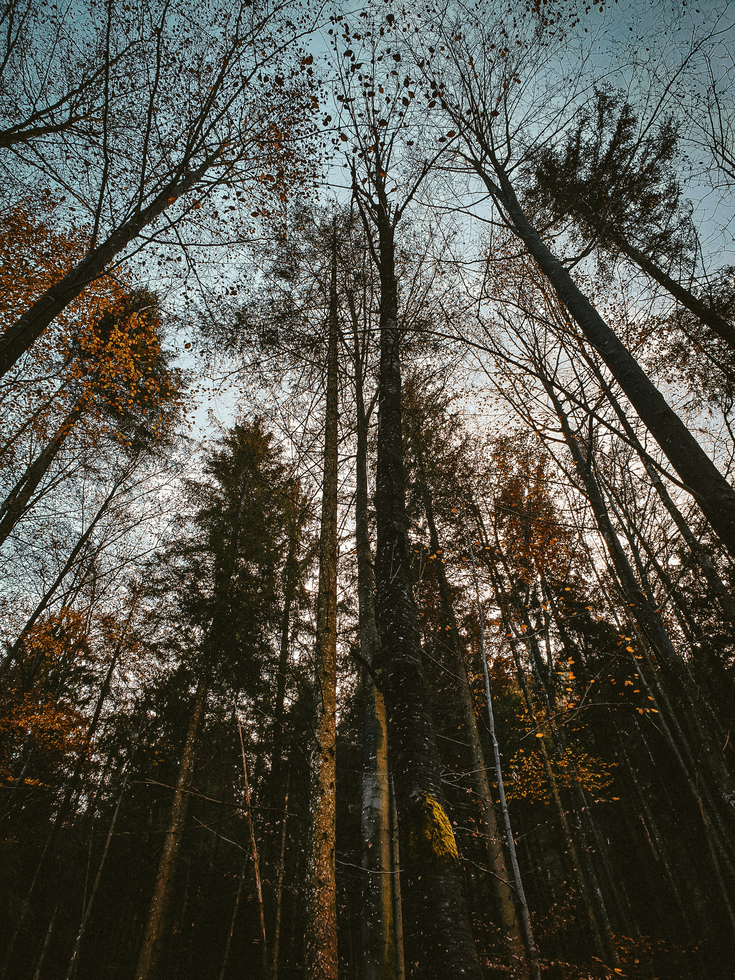 Photo by hectorfarahani