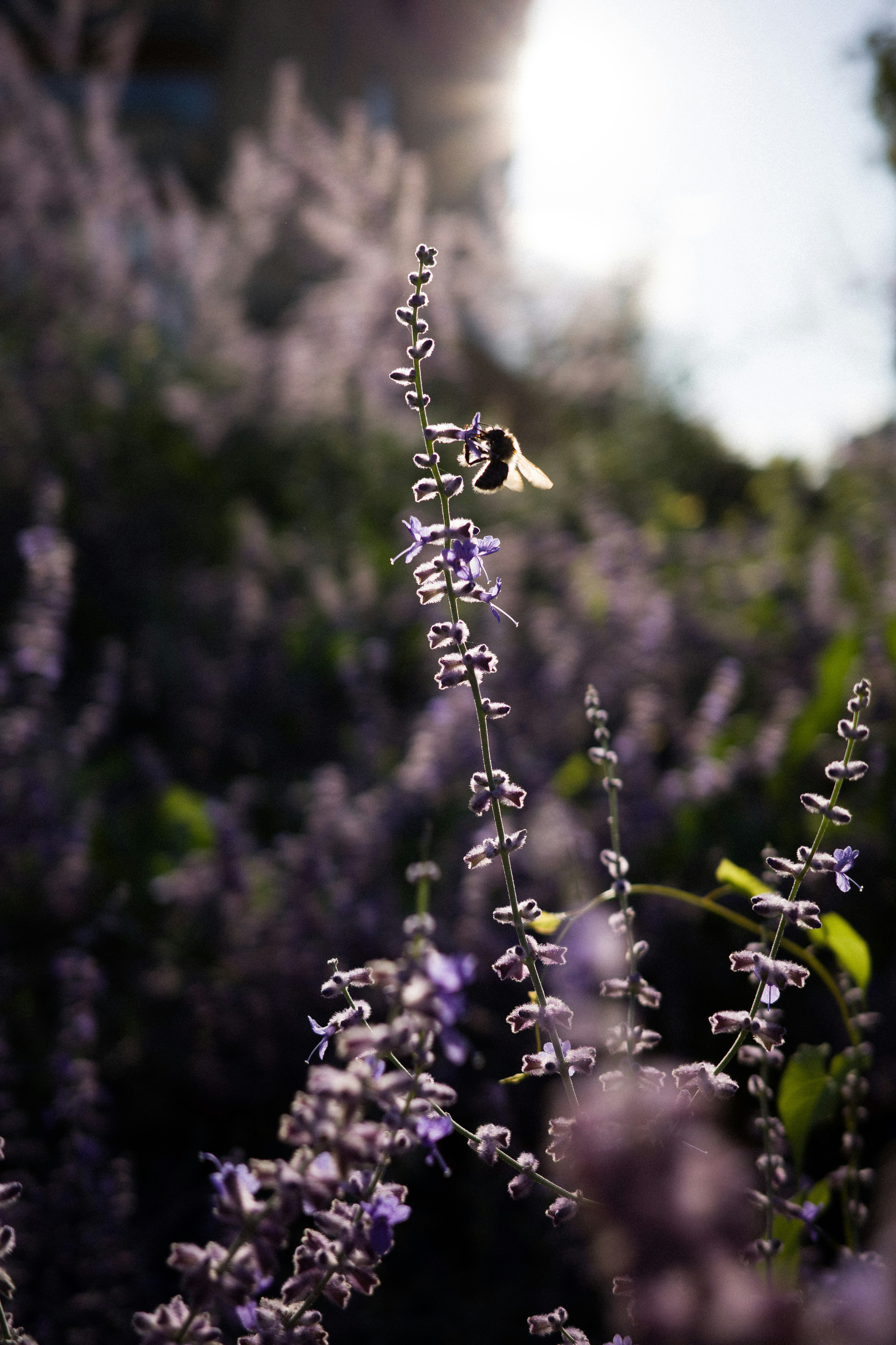 Photo by ninaschneider